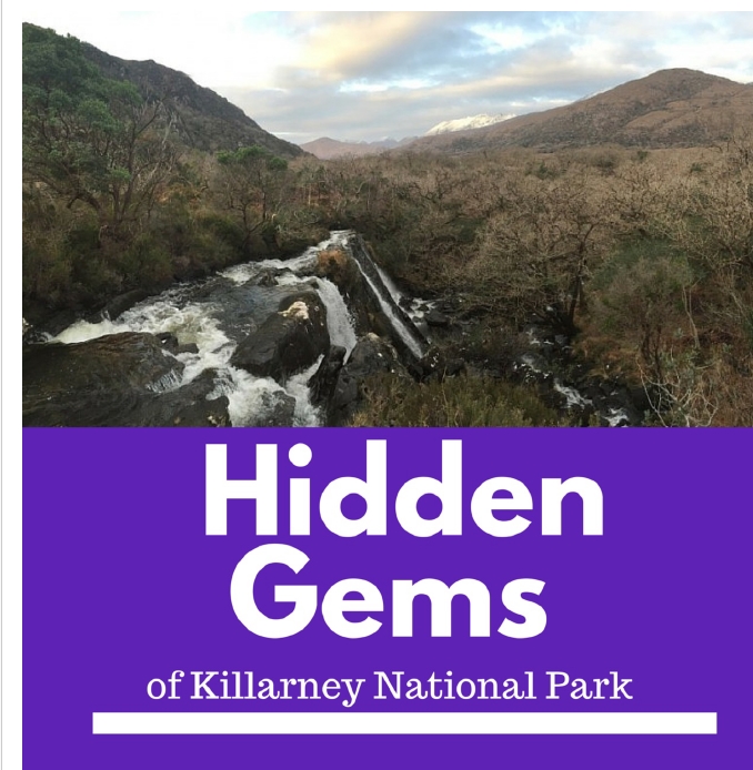 RTW Image 065138.jpg