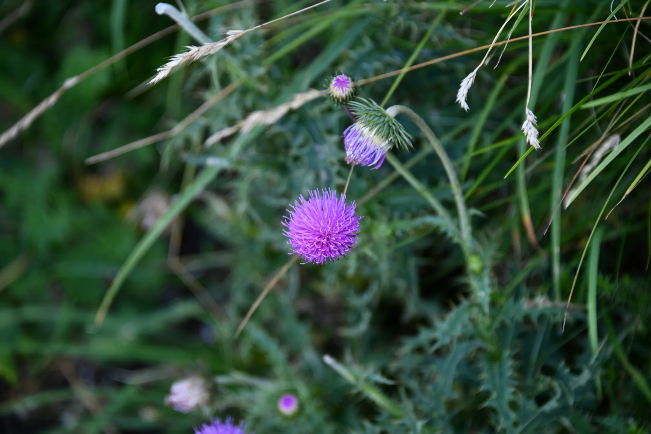 B0001555.JPG