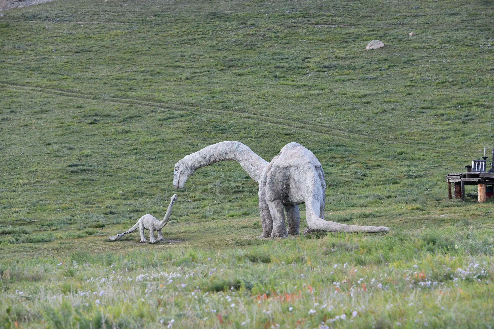B0008018.JPG
