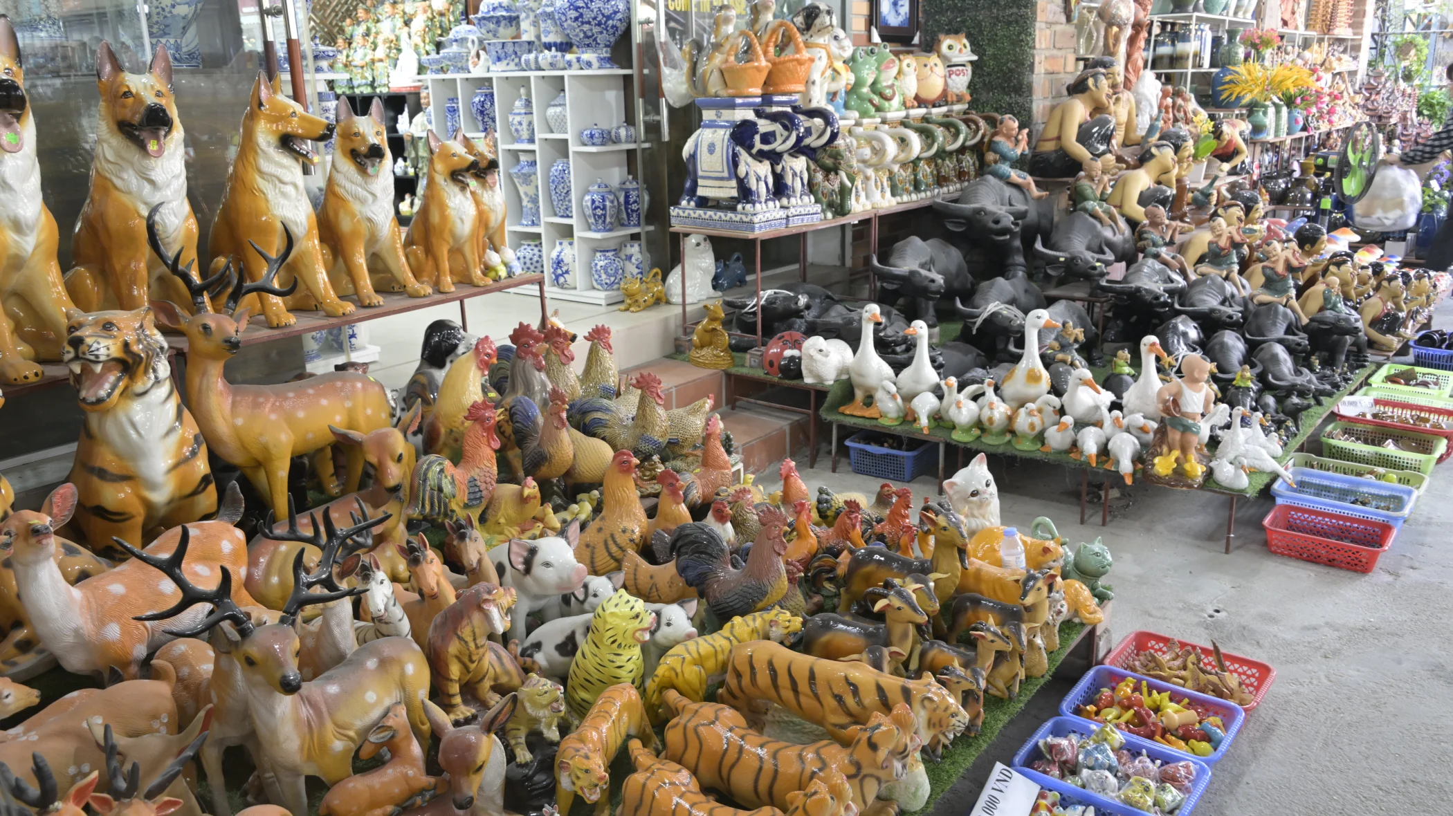 C0007343.JPG