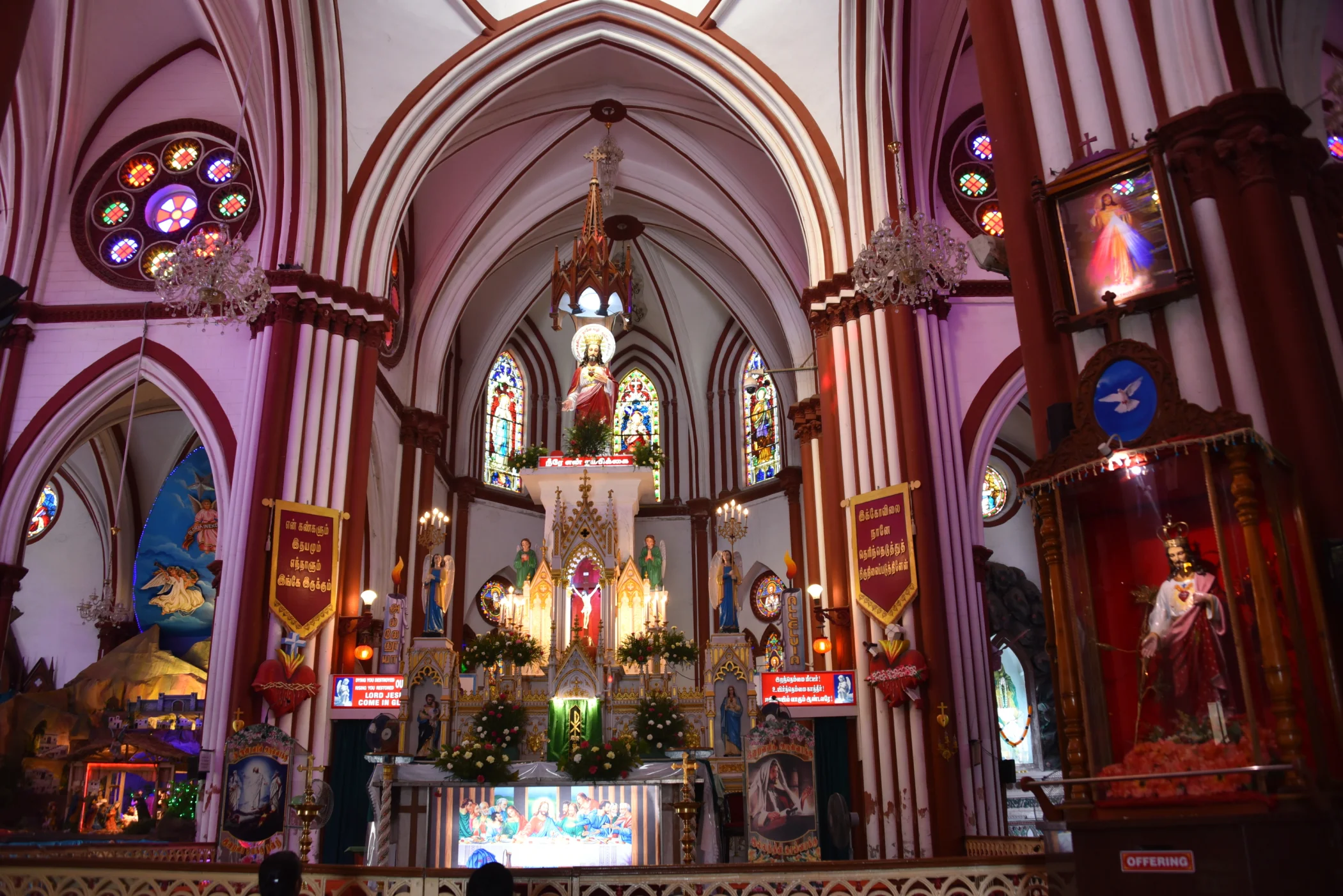 IMG047050.JPG