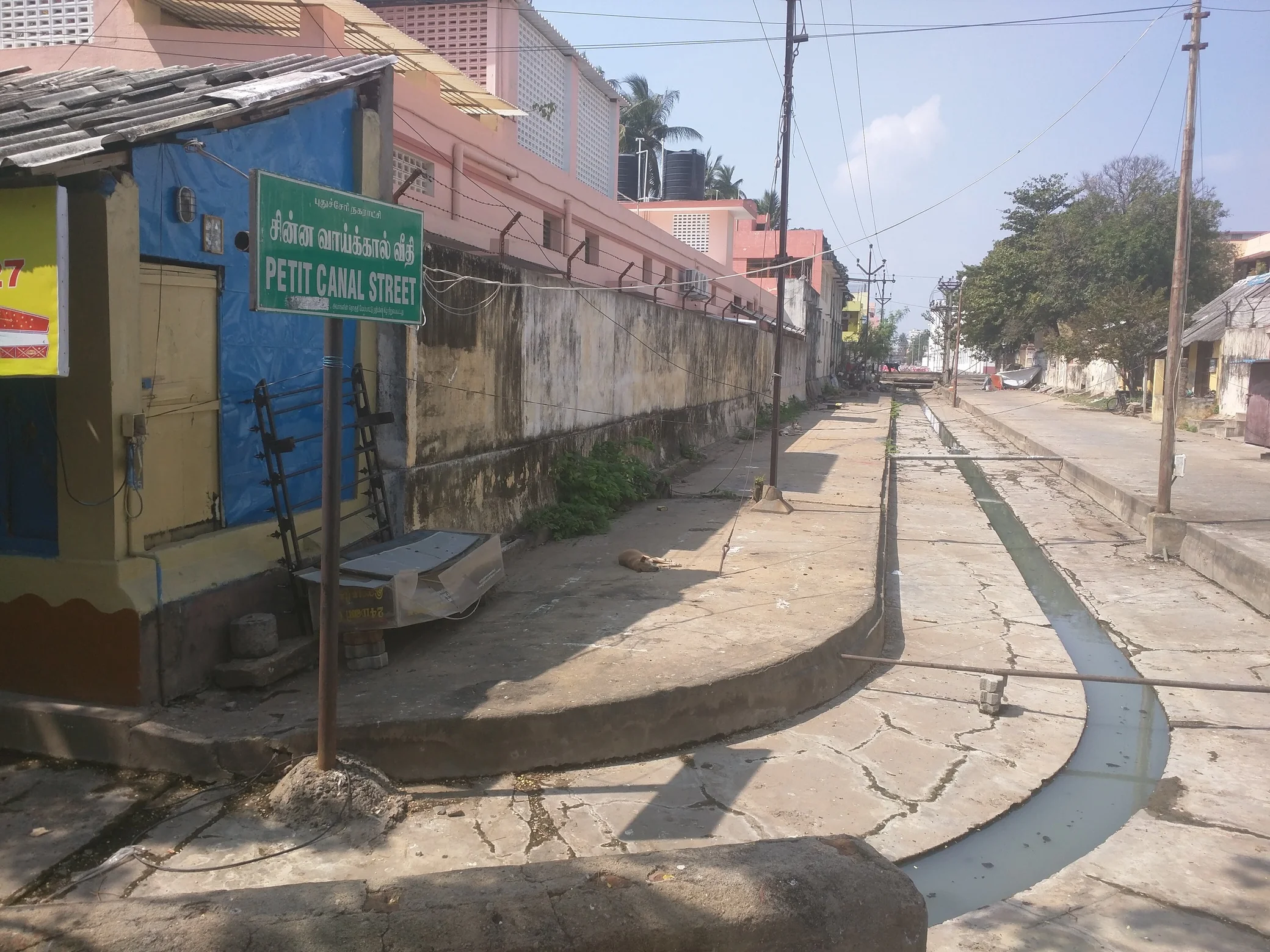 IMG057050.JPG
