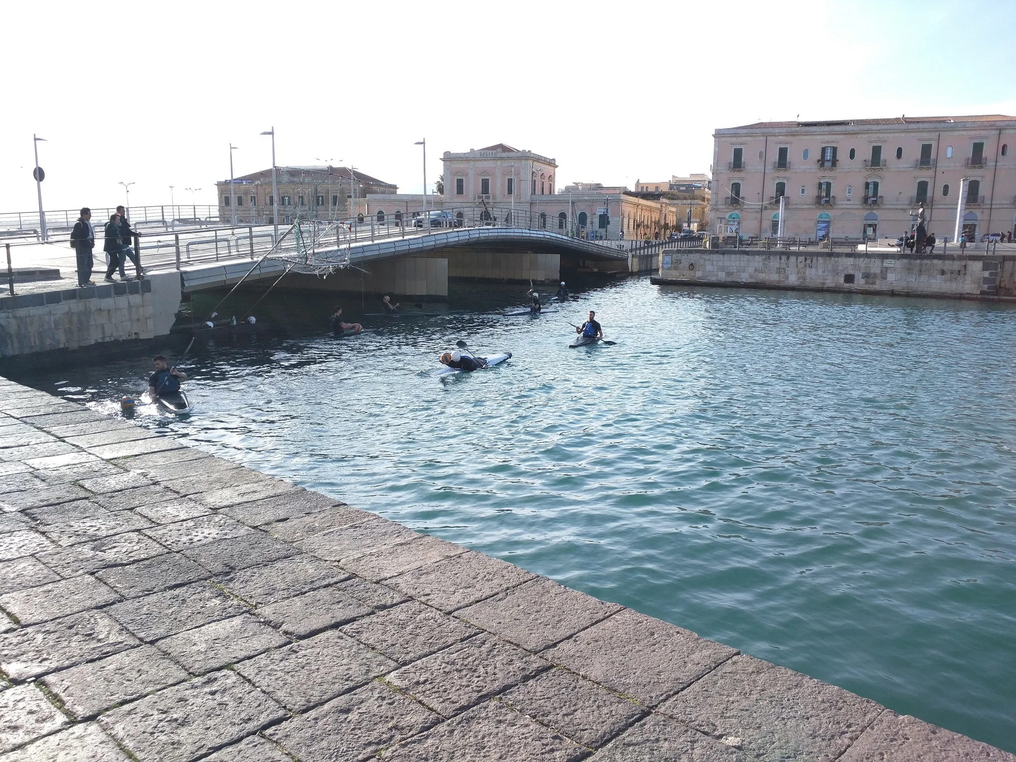 IMG238050.JPG