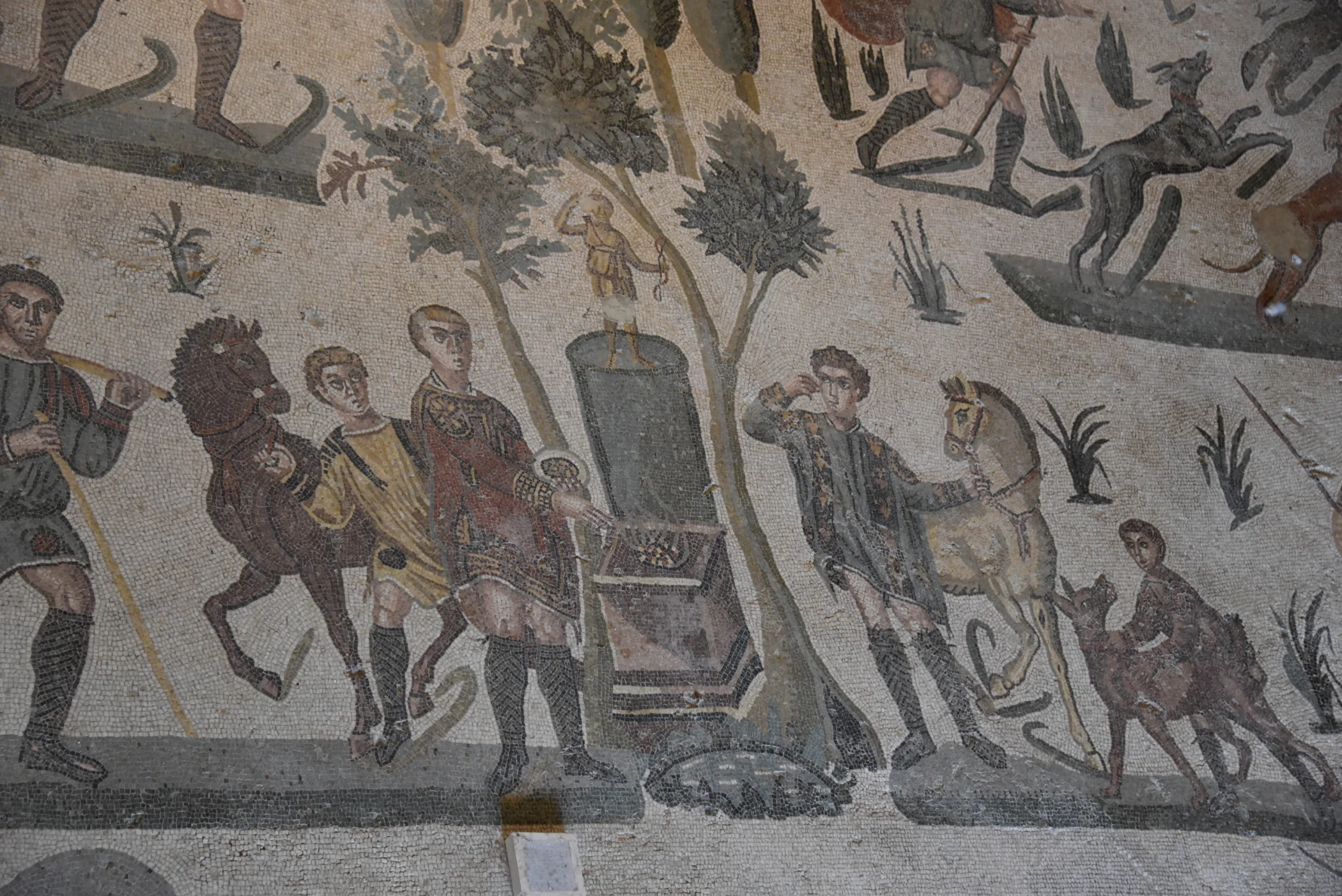 IMG245050.JPG