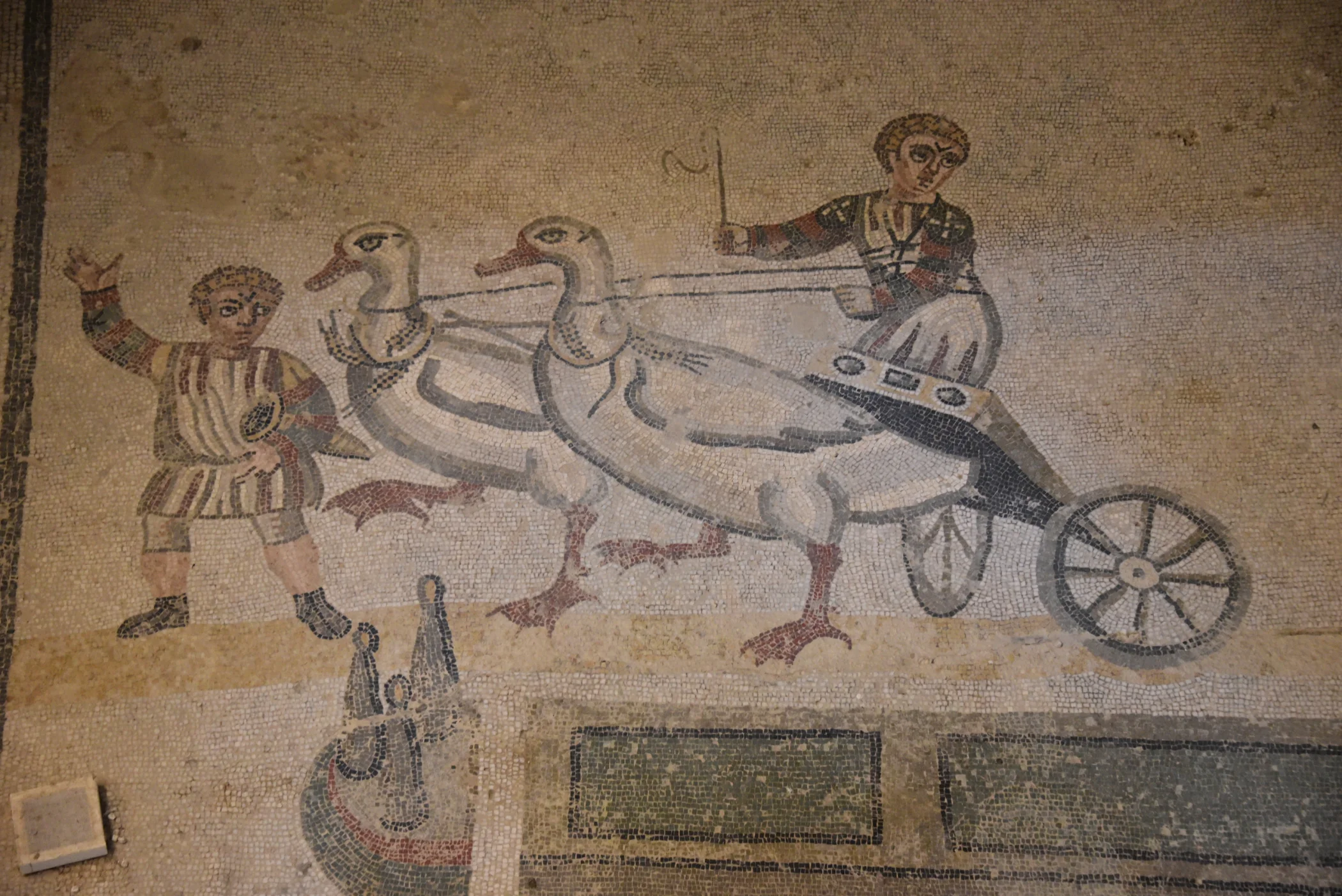 IMG253050.JPG