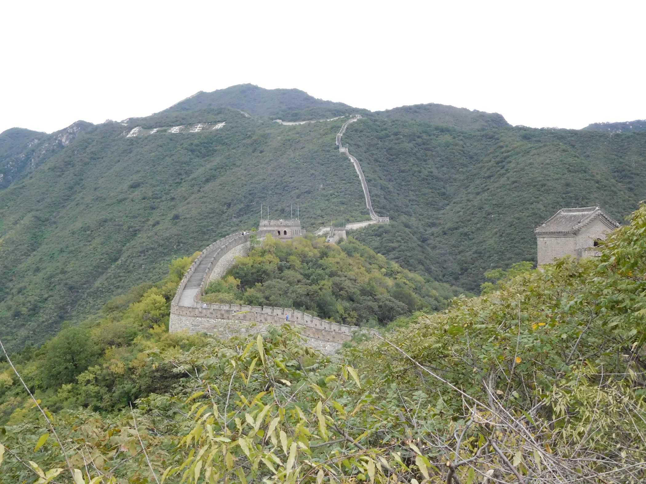 J0002670.JPG