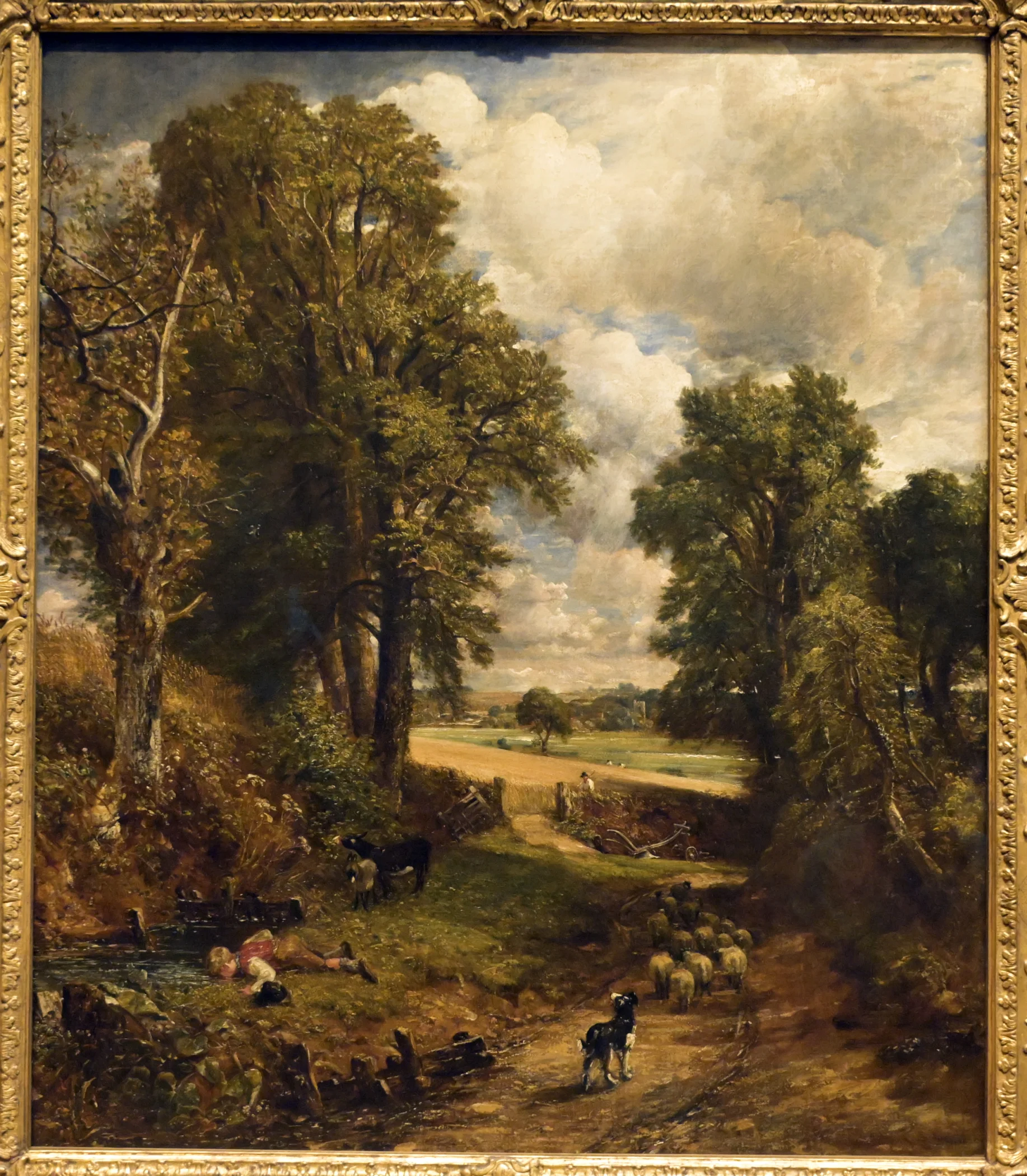 R0000555a.jpg