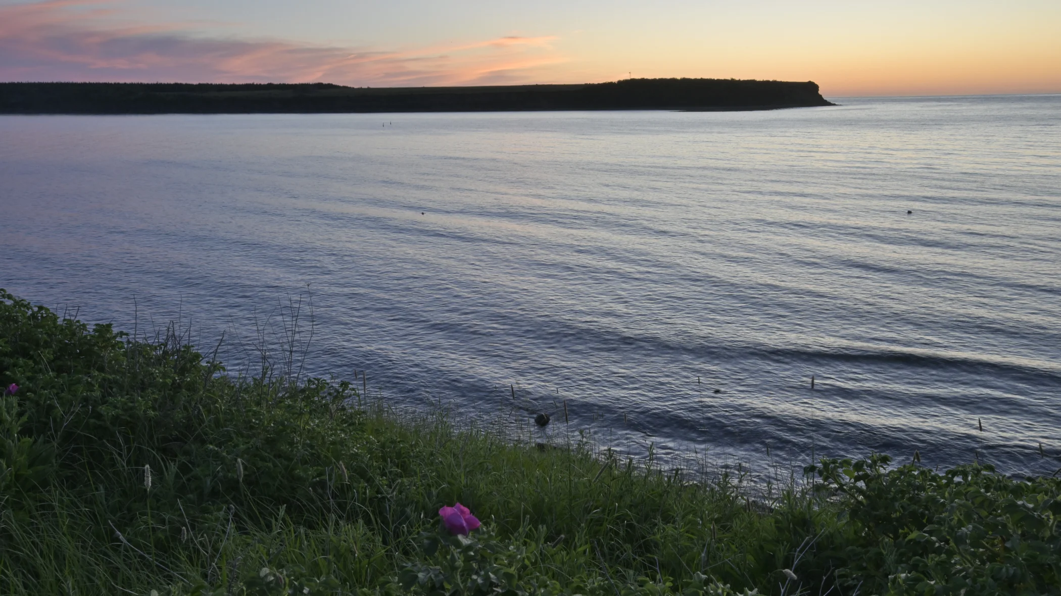 R0003348.JPG