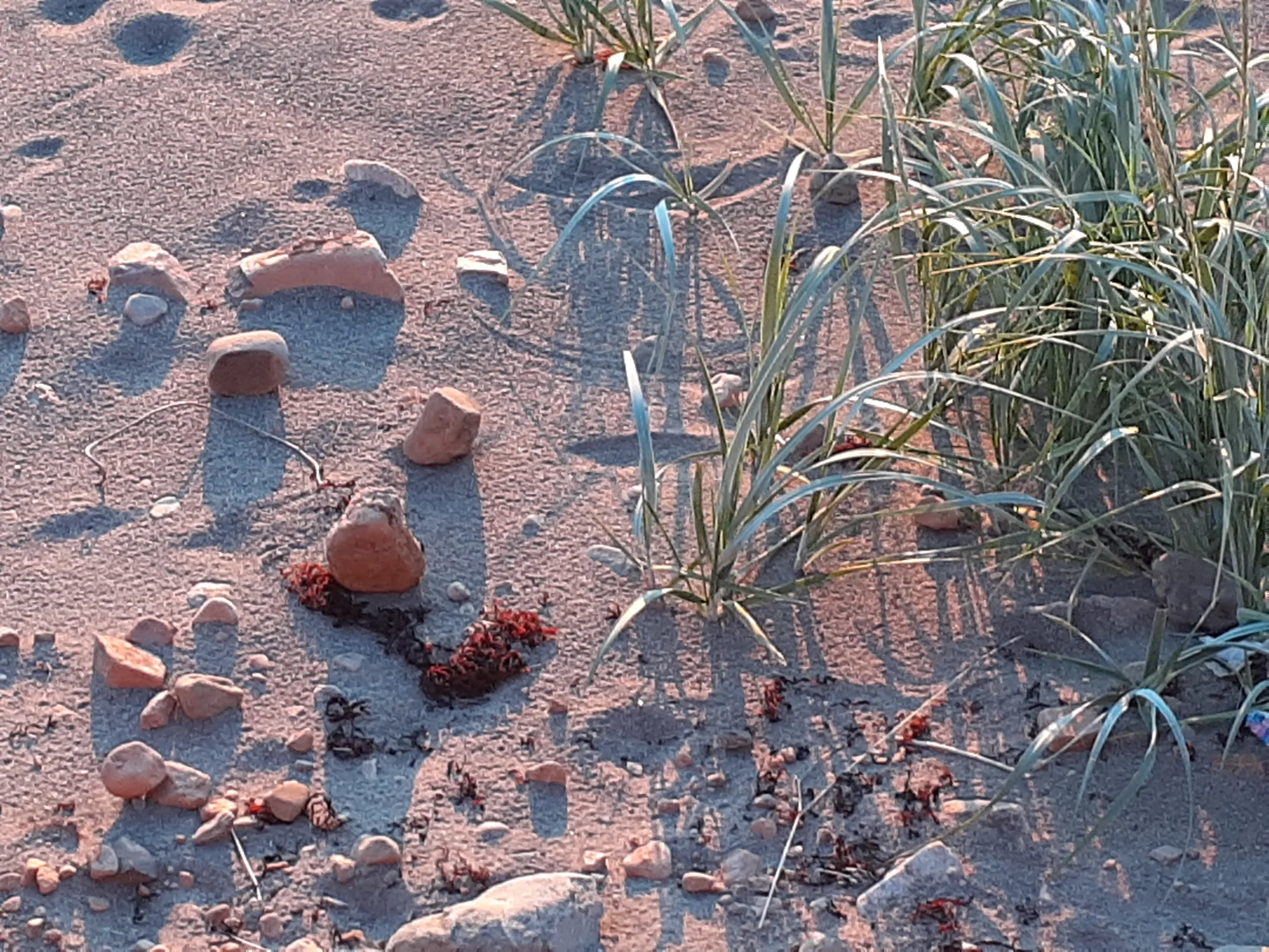 R0003395.JPG