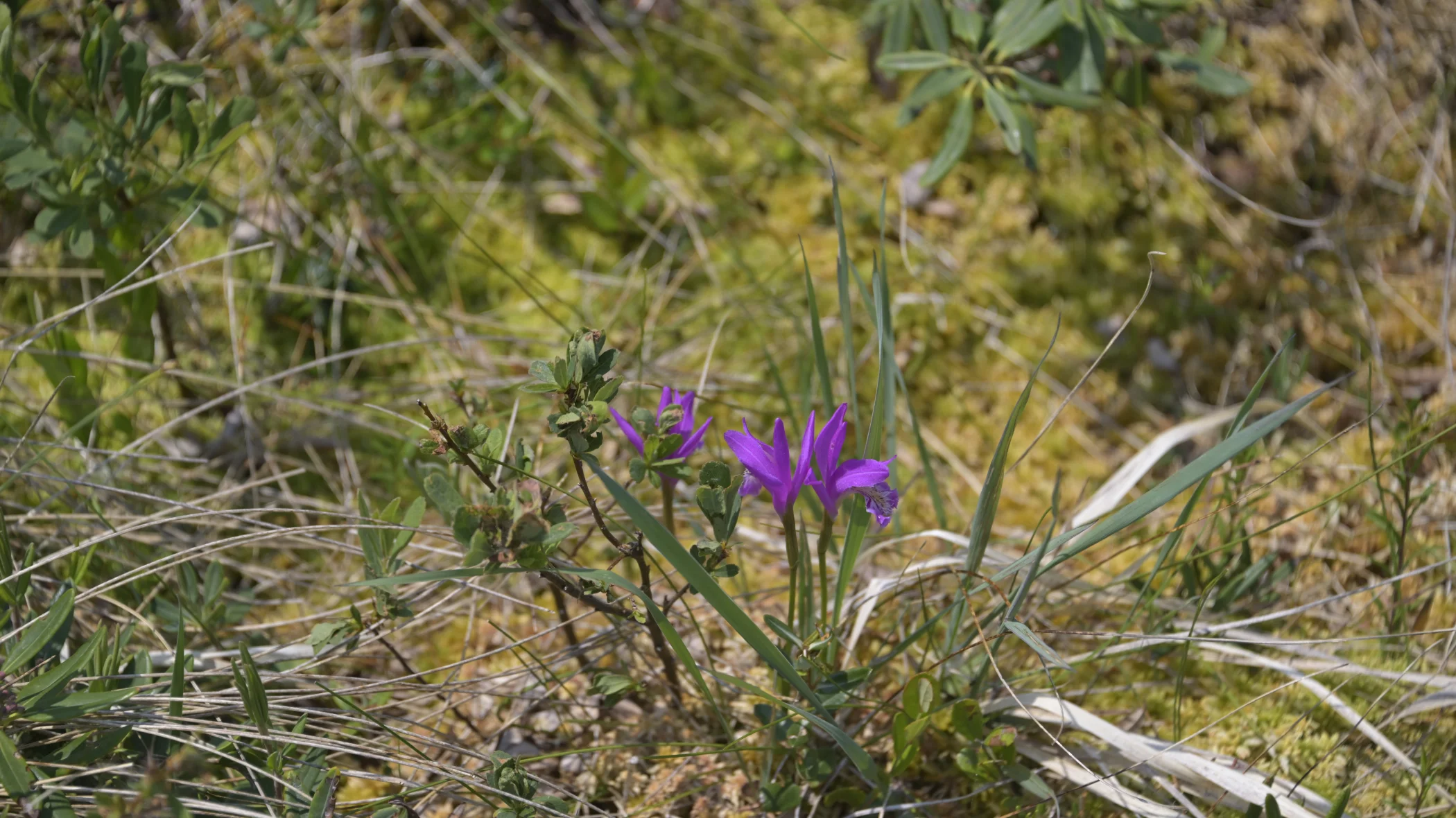 R0003479.JPG