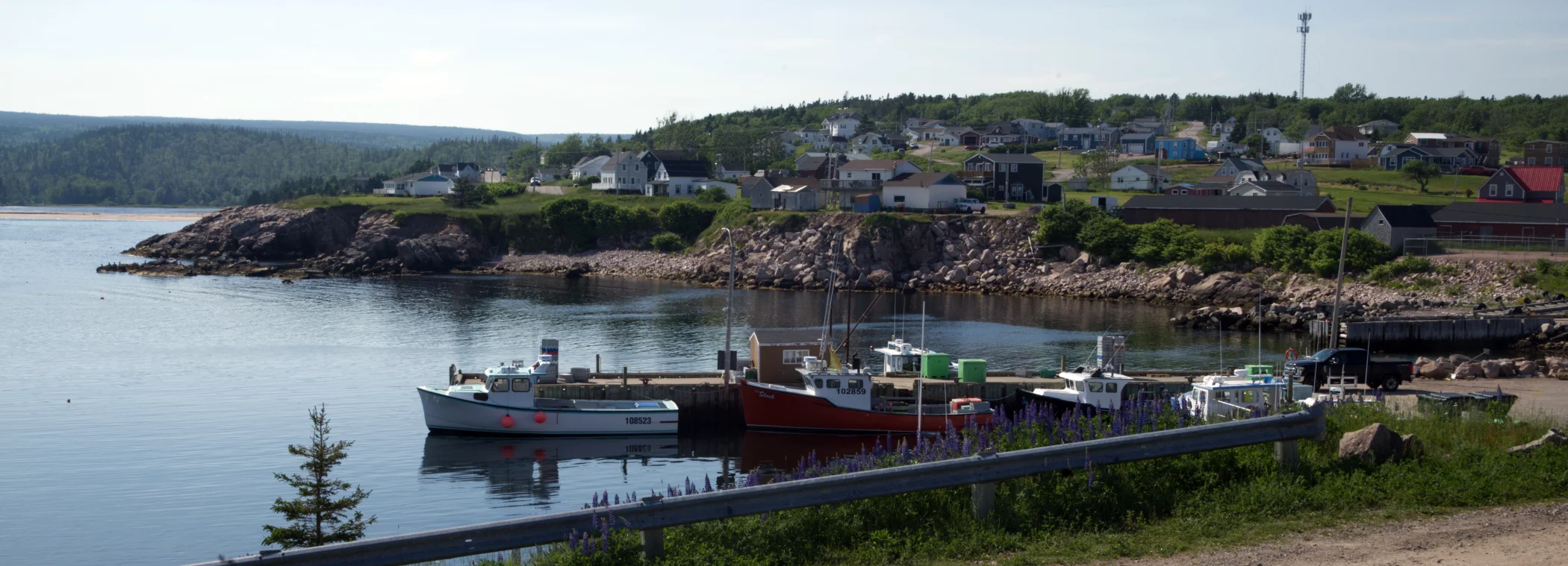 R0003513a.jpg