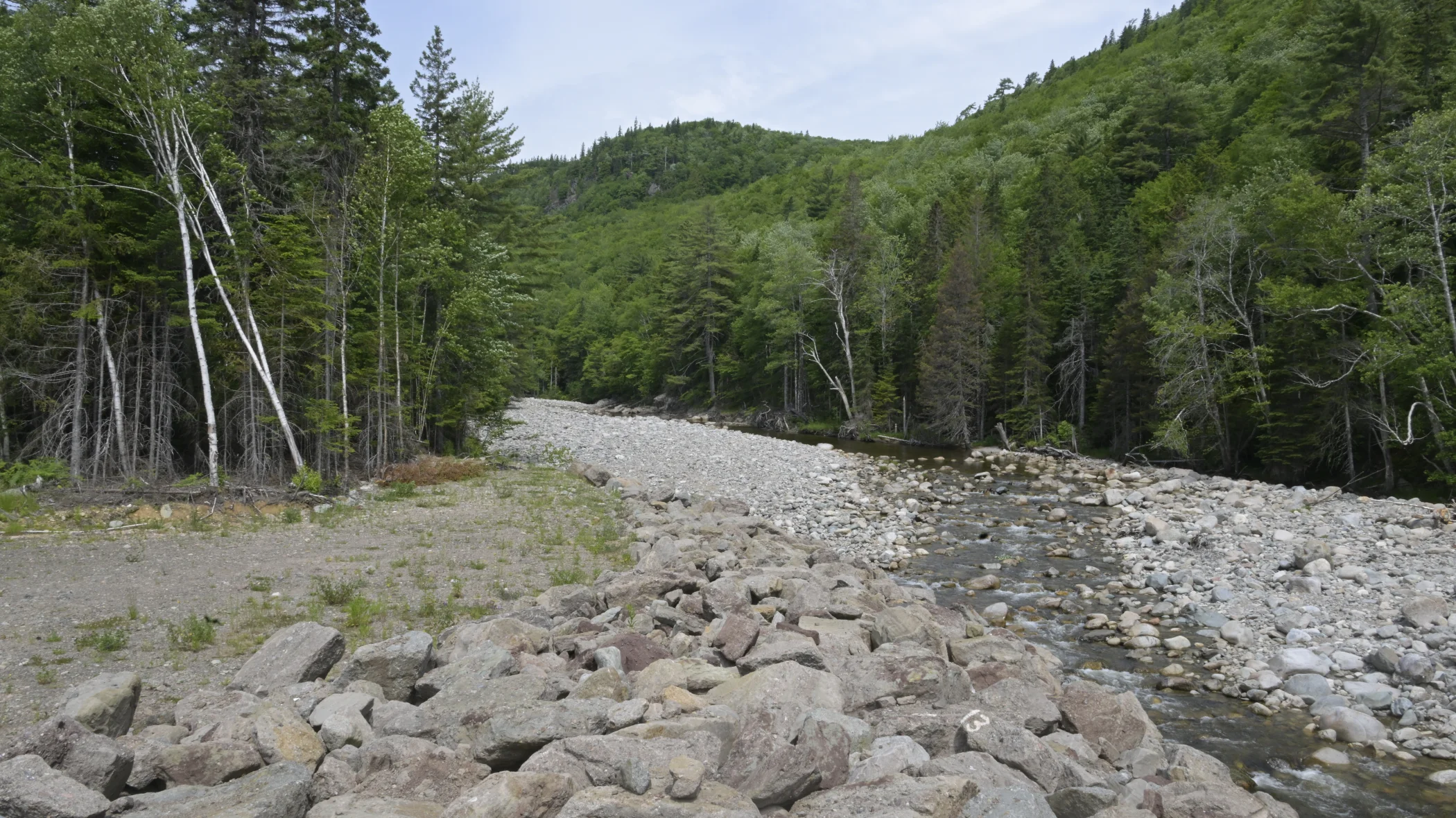 R0003533.JPG