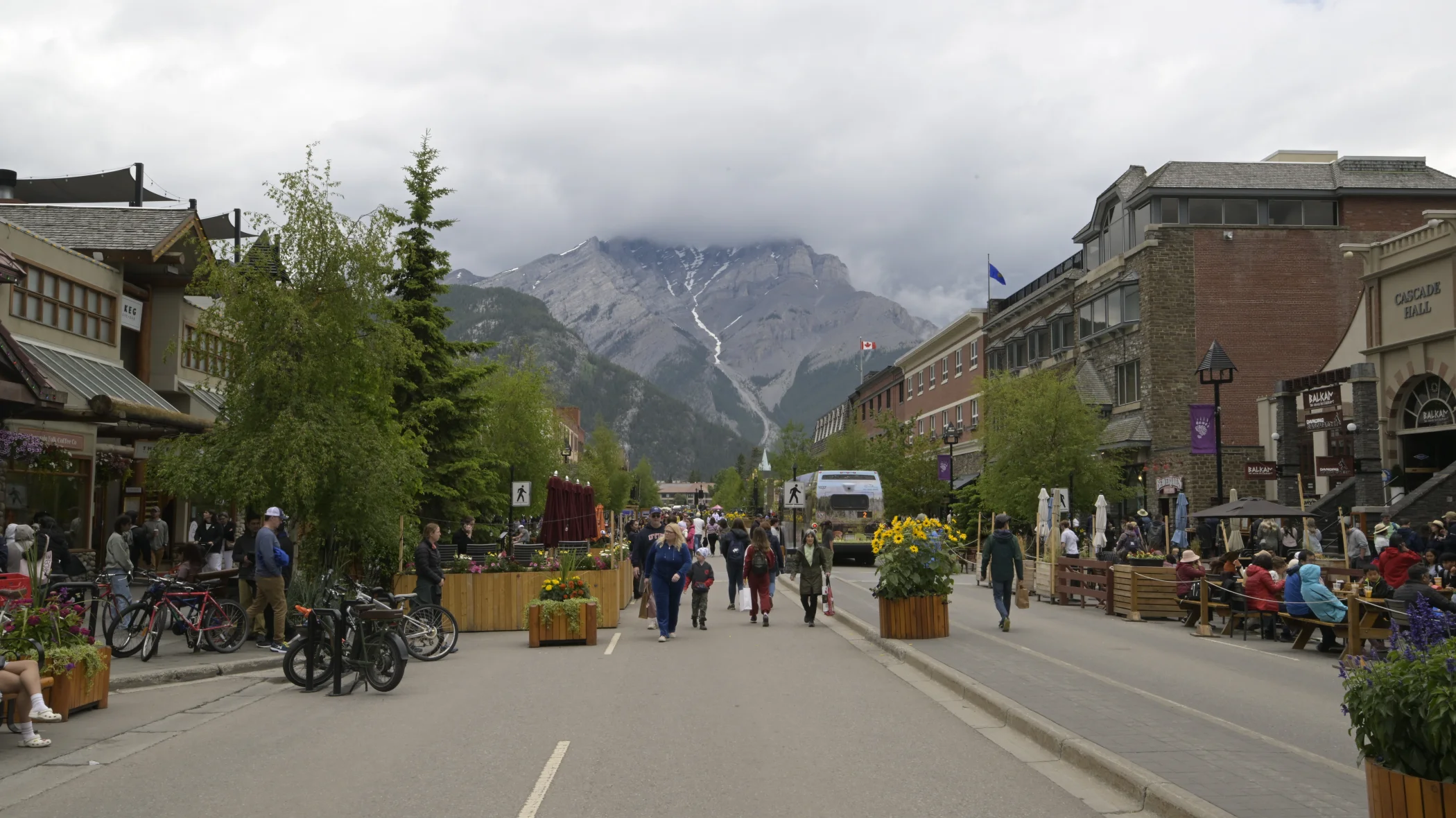 R0003800.JPG
