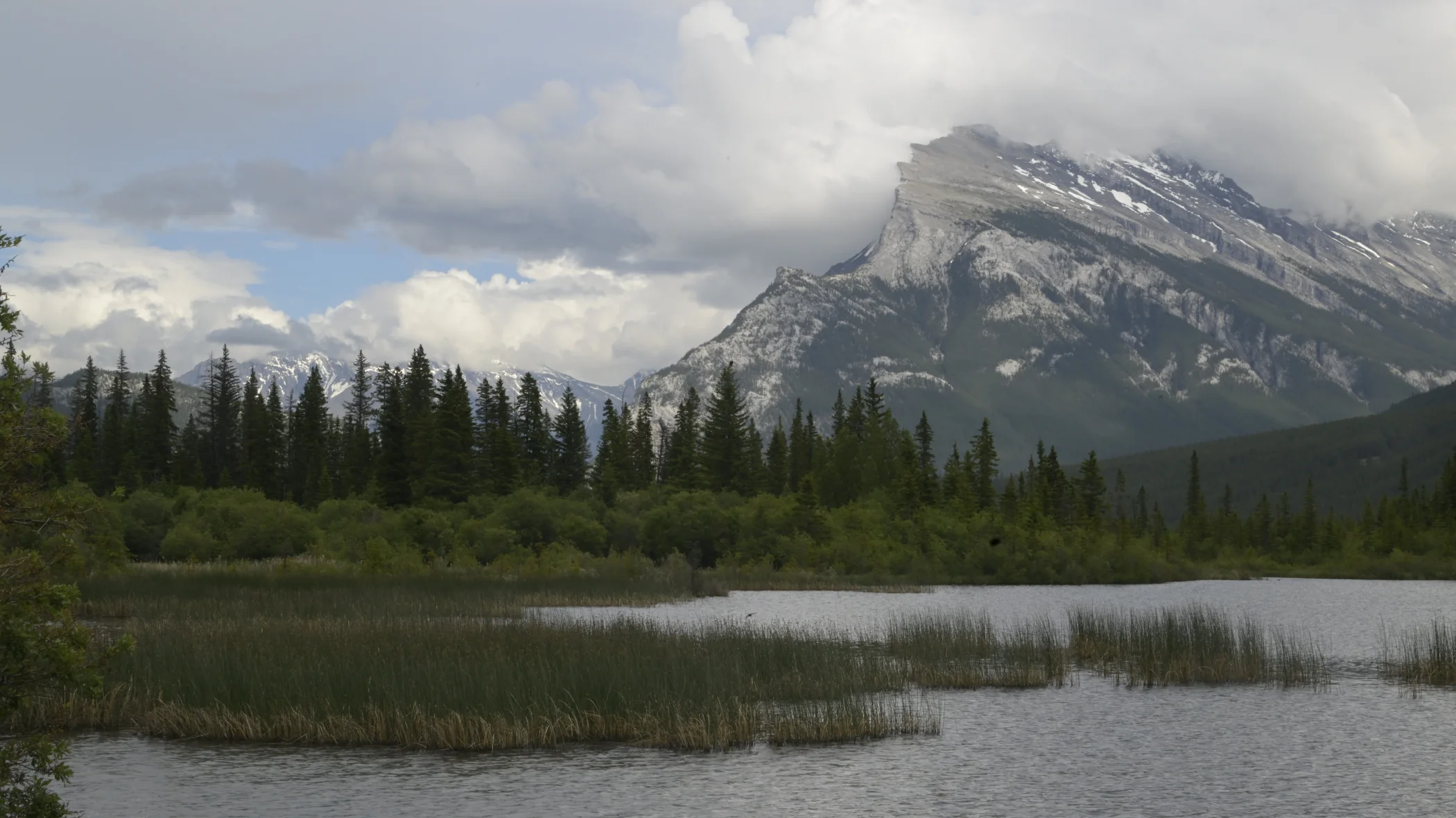 R0003841.JPG