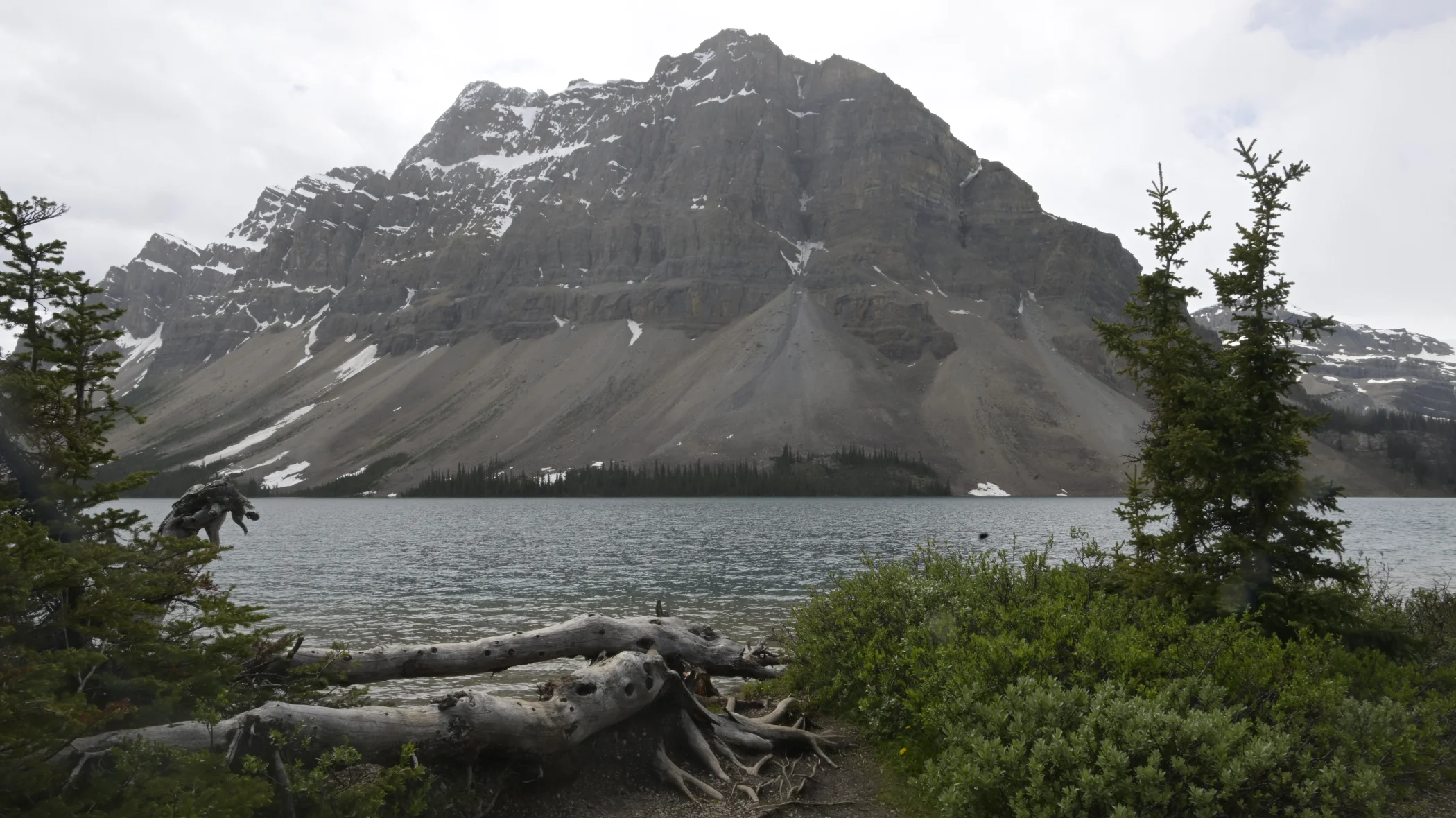 R0003994.JPG