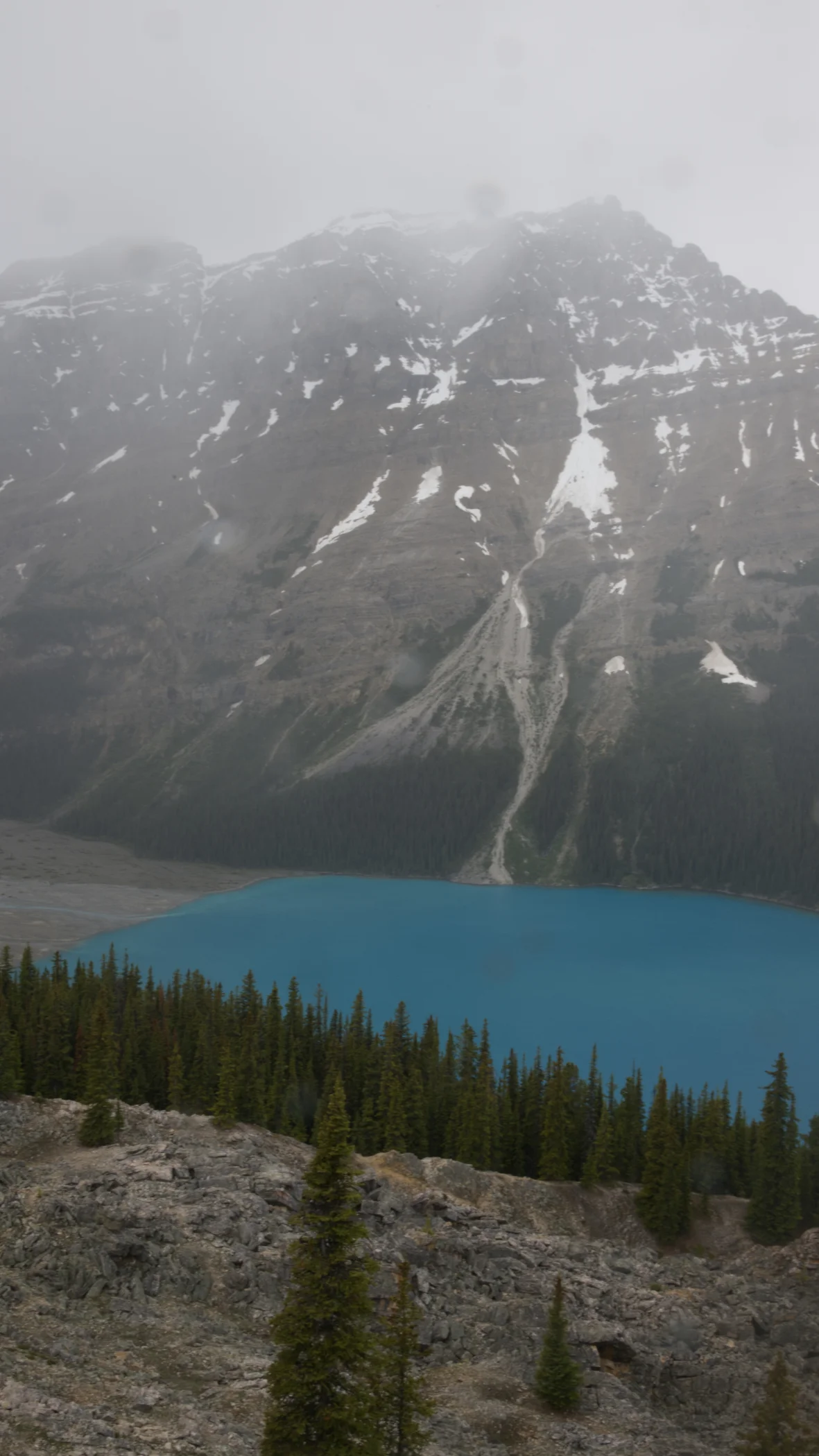 R0004015a.jpg