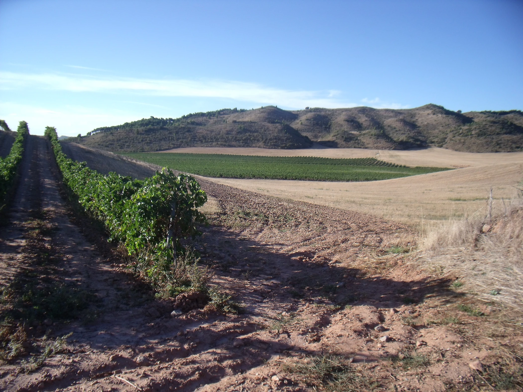 G0000155.JPG