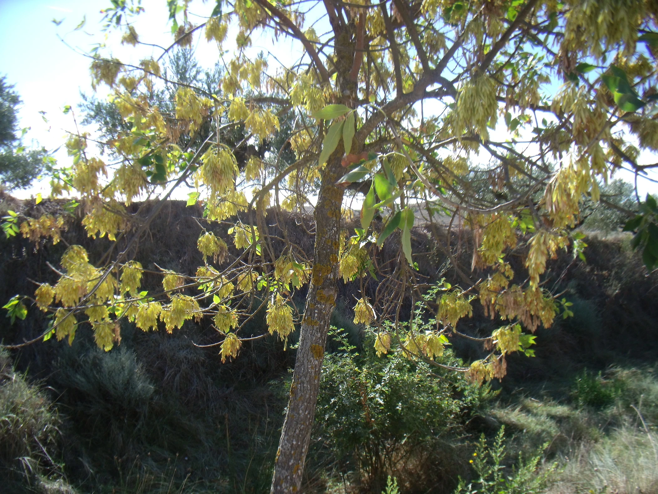G0000156.JPG