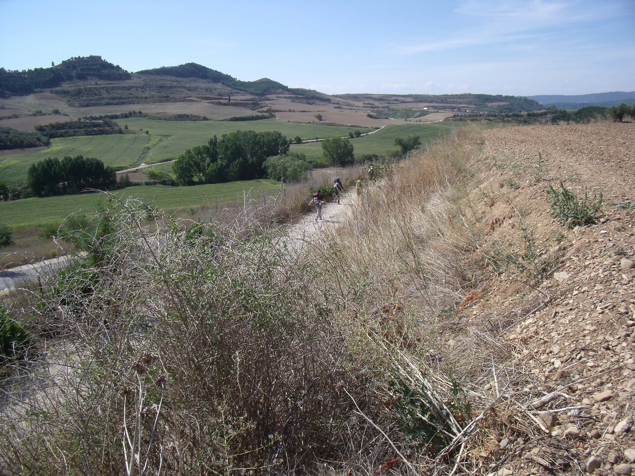 G0000265.JPG