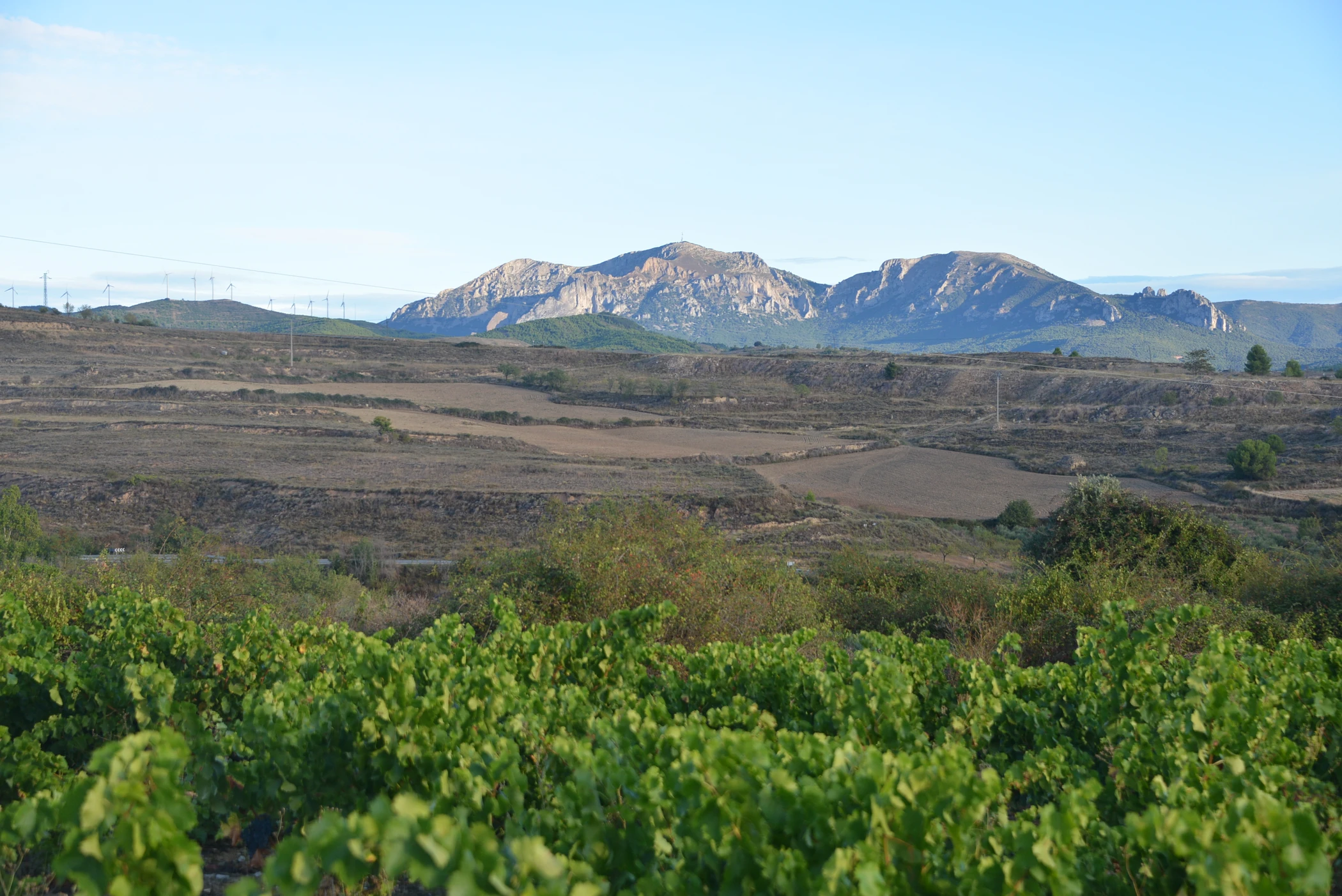 G0000309.JPG