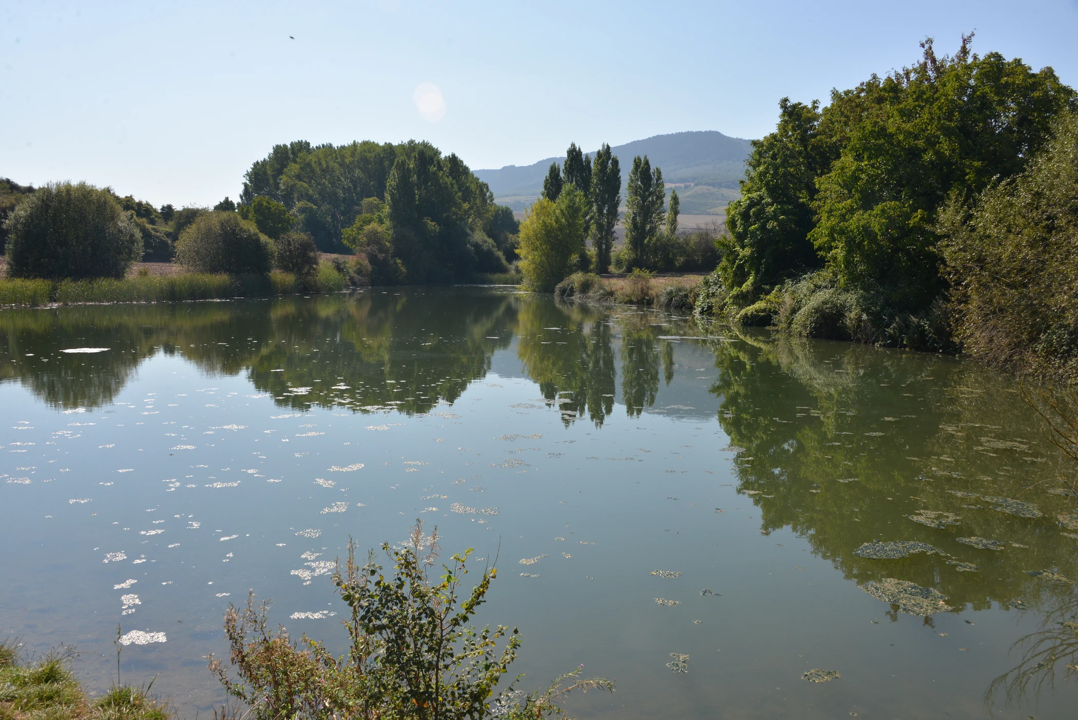 G0000378.JPG