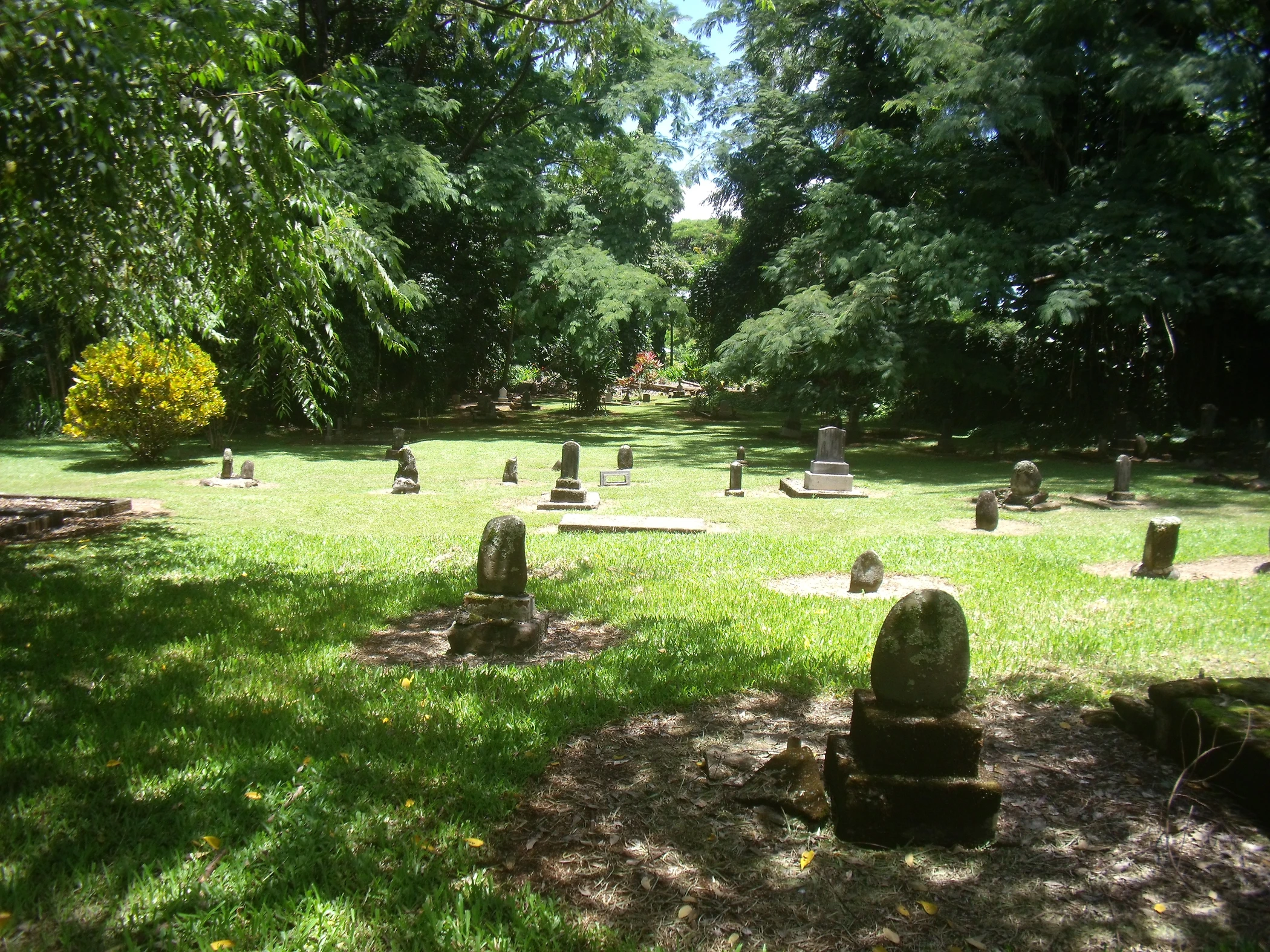 H0000055.JPG