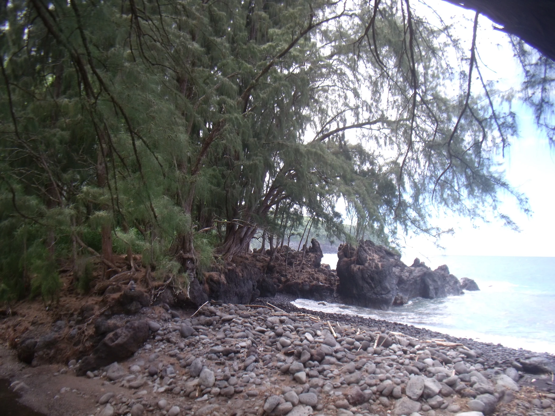 H0000056.JPG