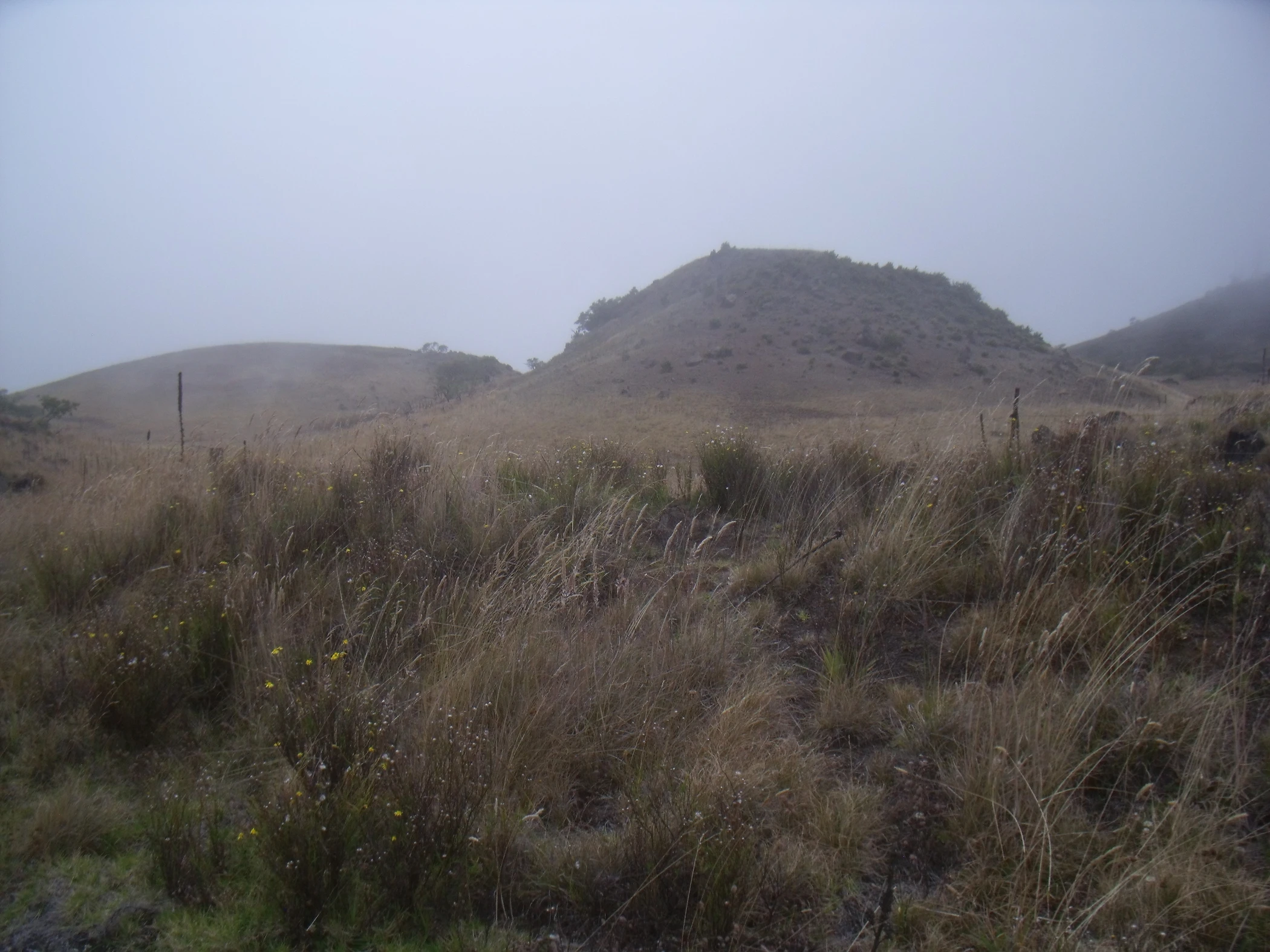 H0000065.JPG