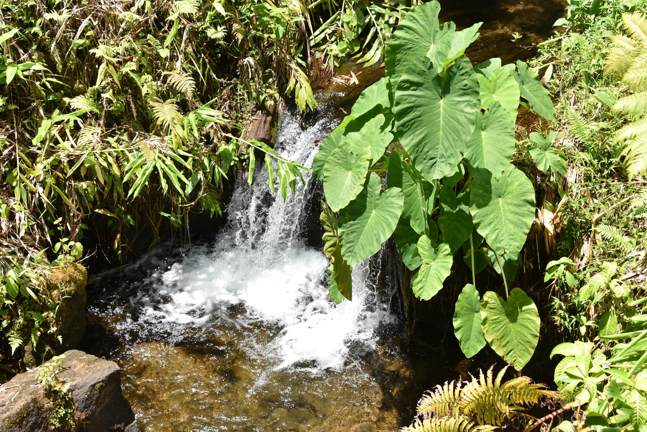 H0000089.JPG