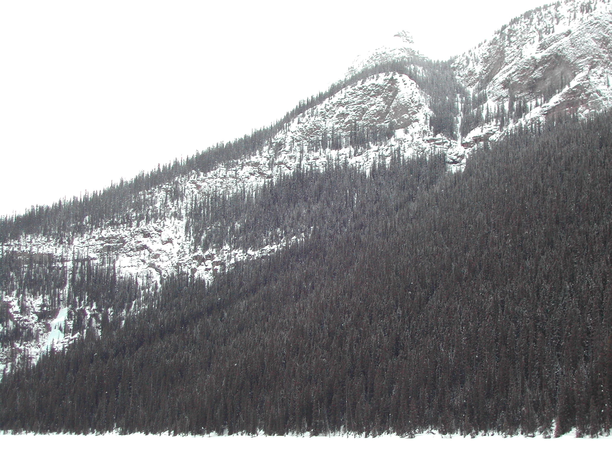 K0000039.JPG