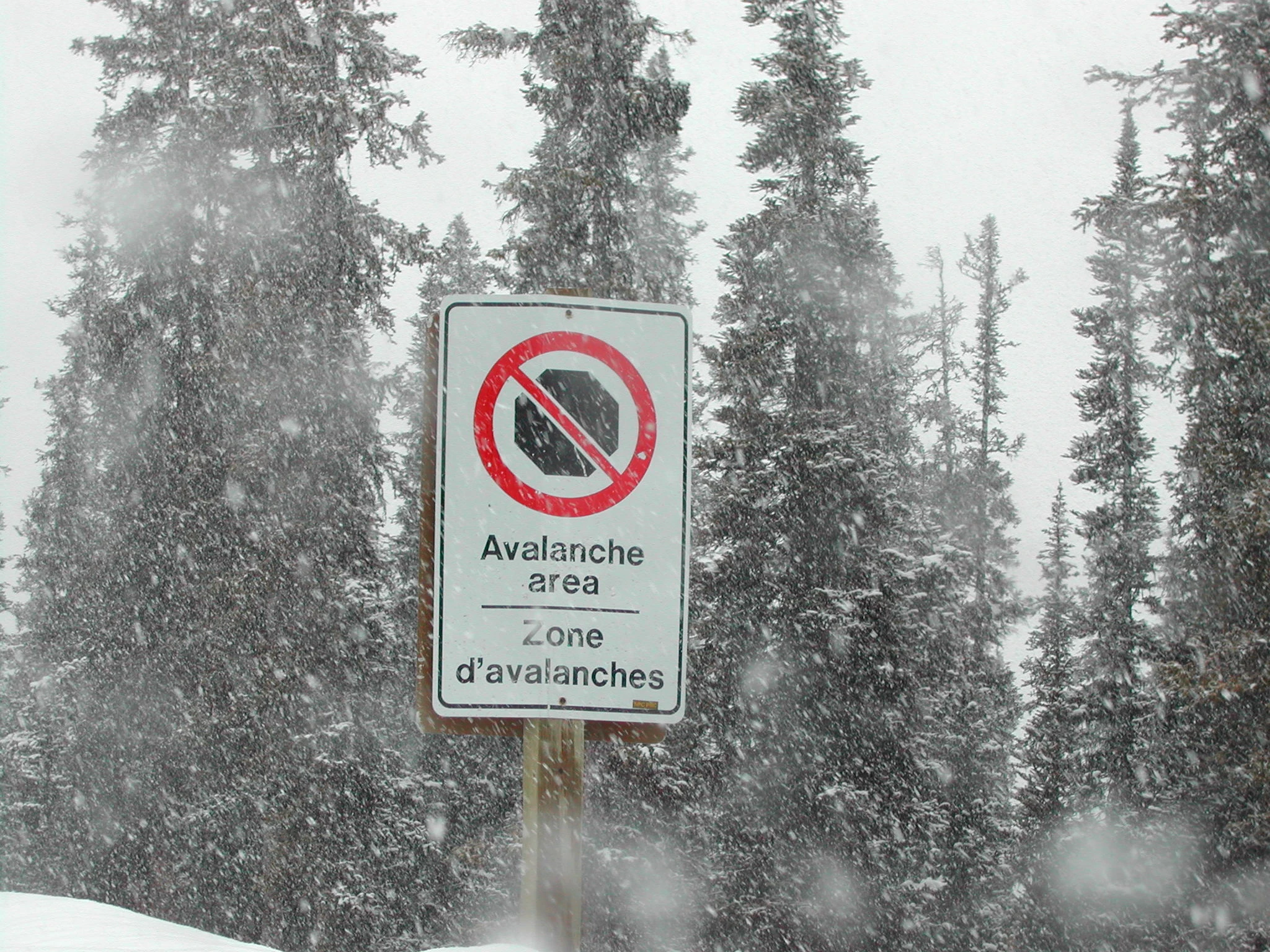 K0000053.JPG