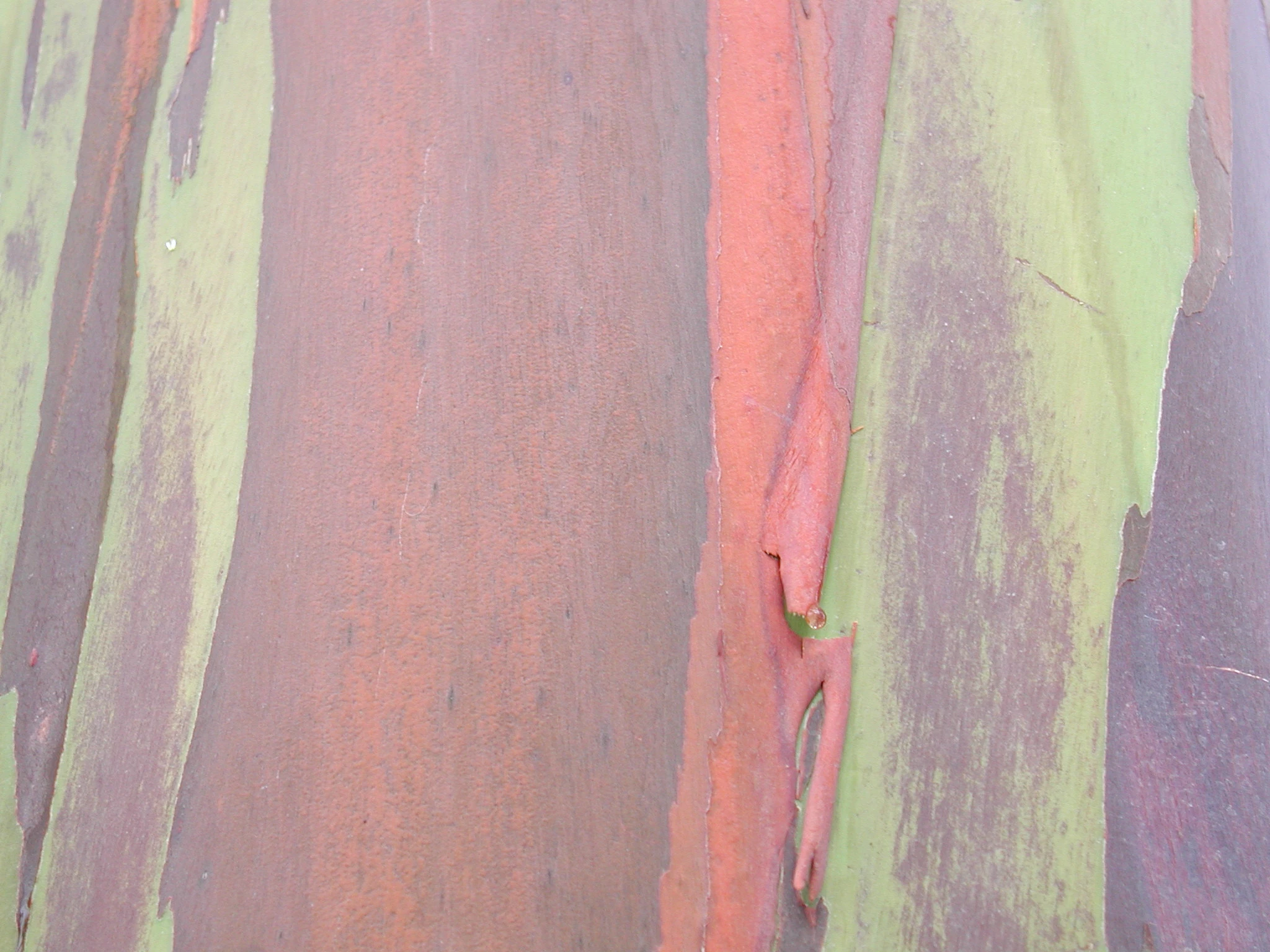 K0000140.JPG