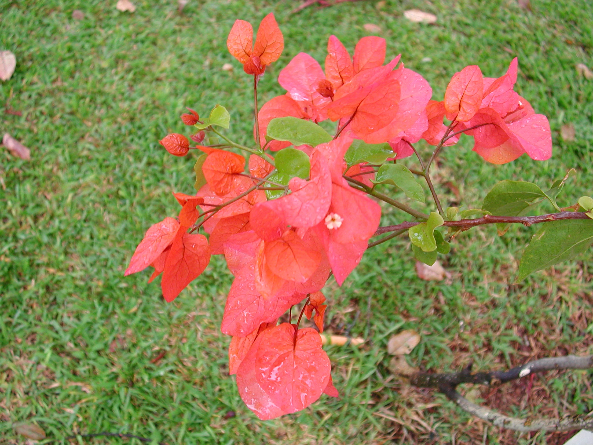 K0000141.JPG
