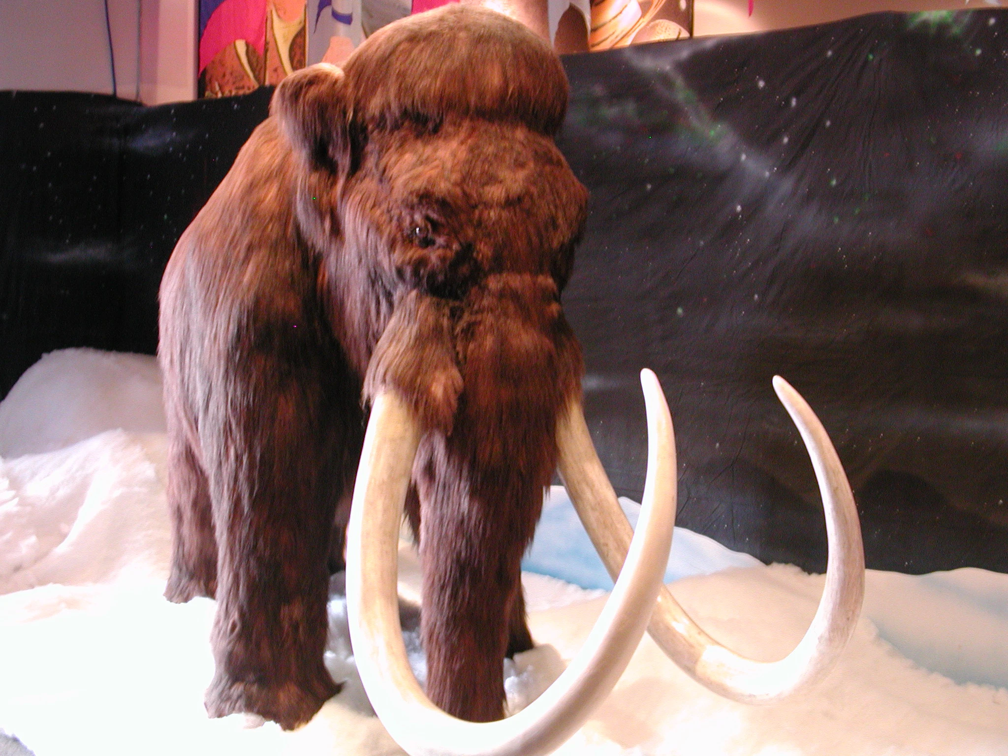 K0000152.JPG