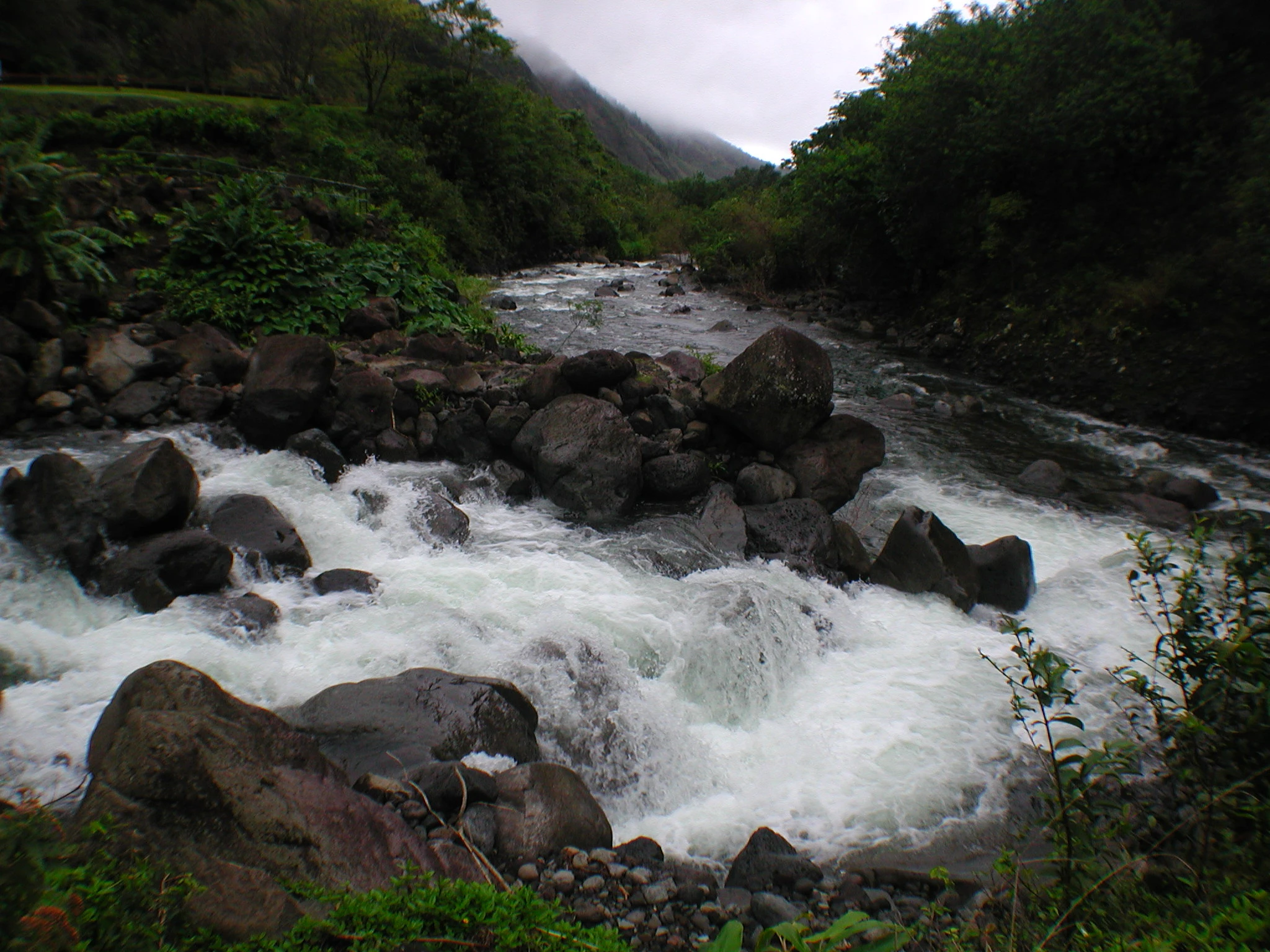 K0000154.JPG