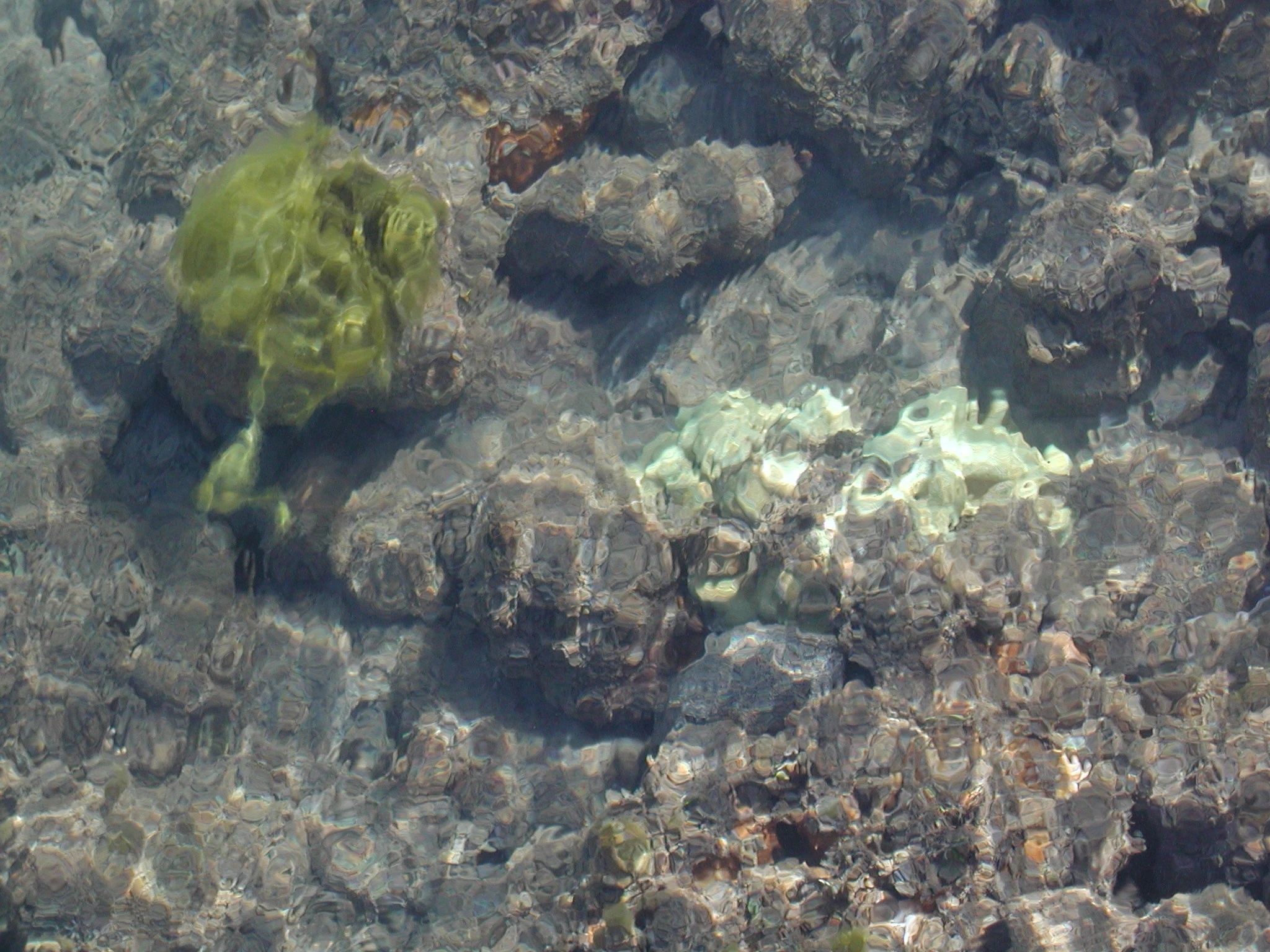 K0000168.JPG