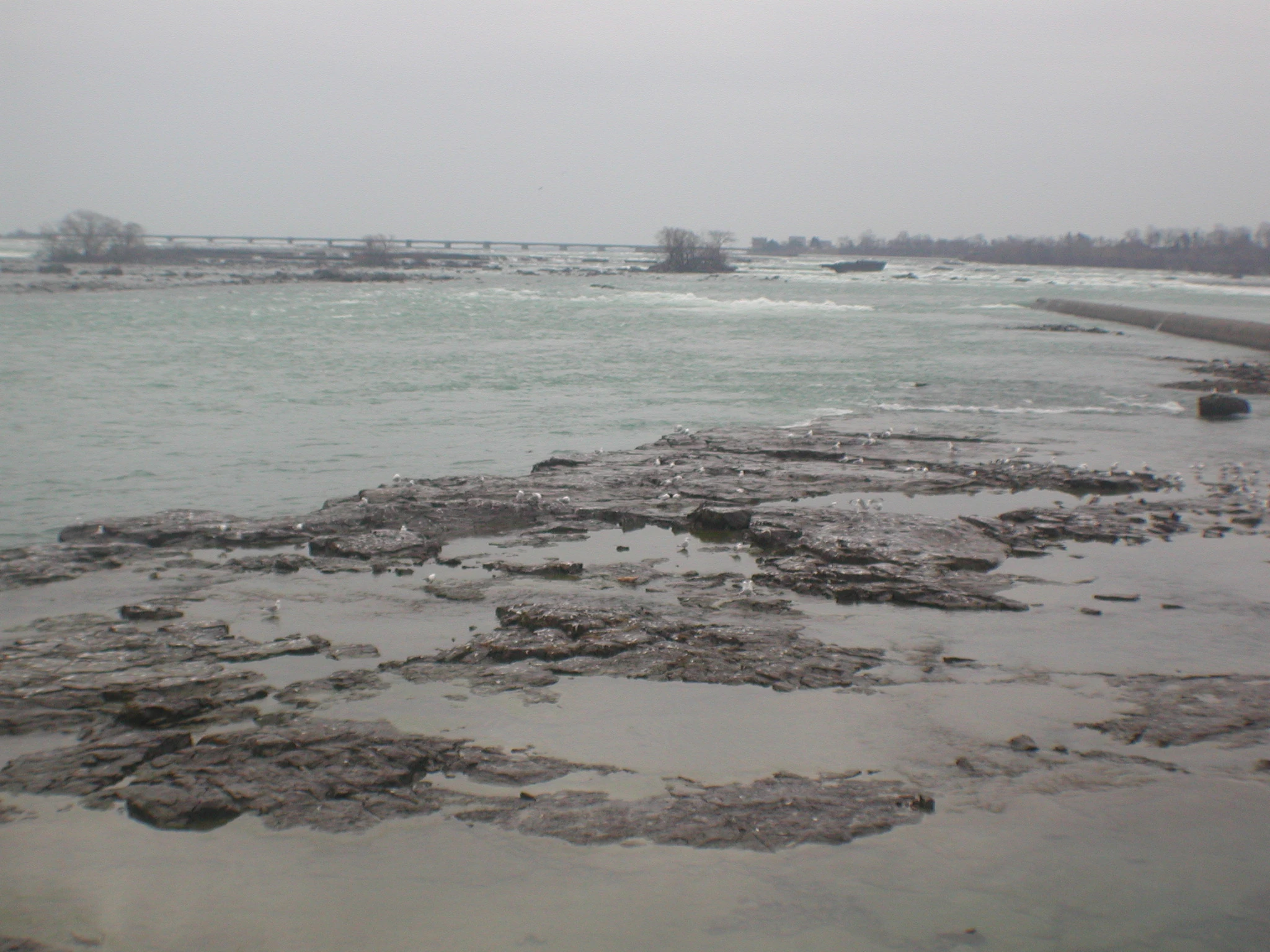 K0000229.JPG