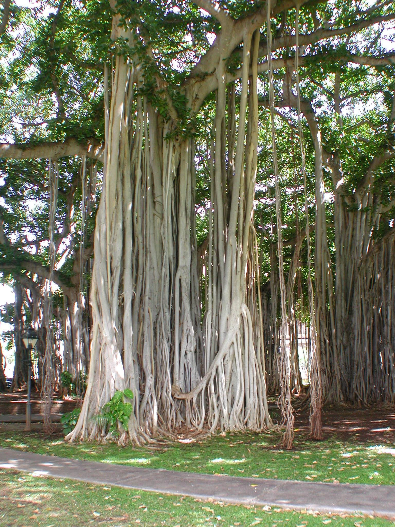 K0000338.JPG