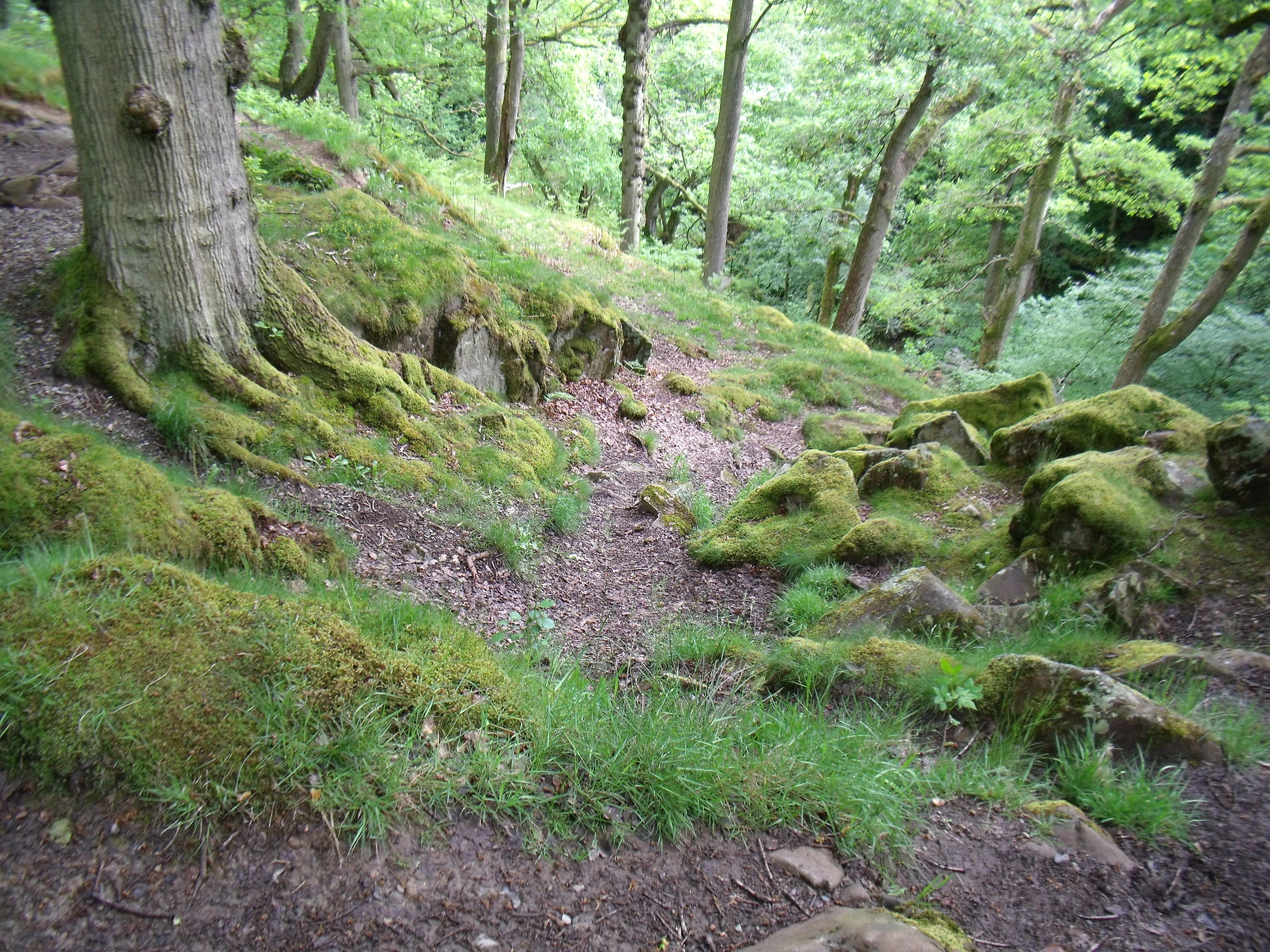V0000019.JPG