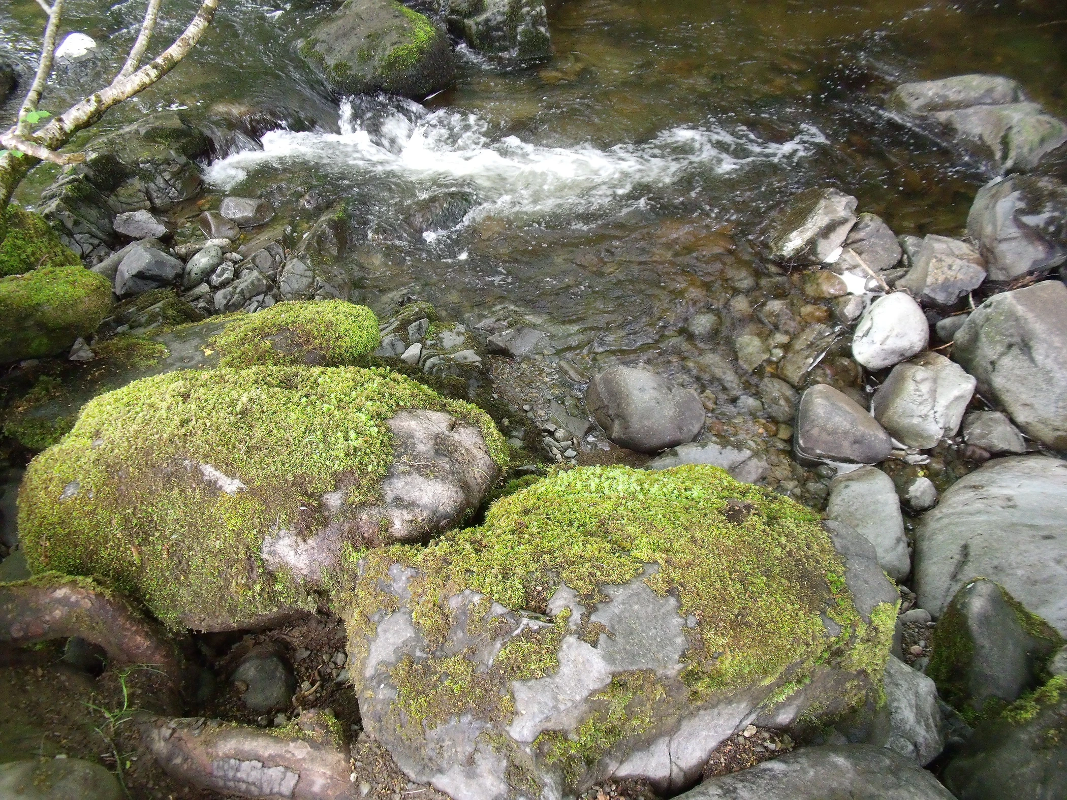 V0000021.JPG