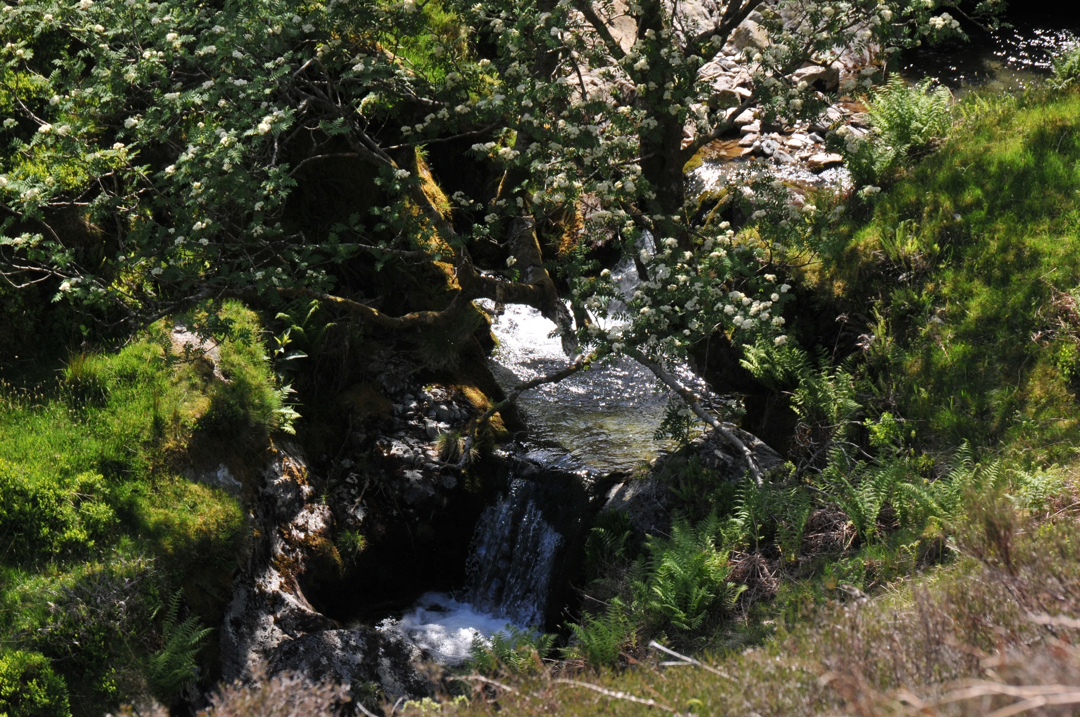 V0000044.JPG