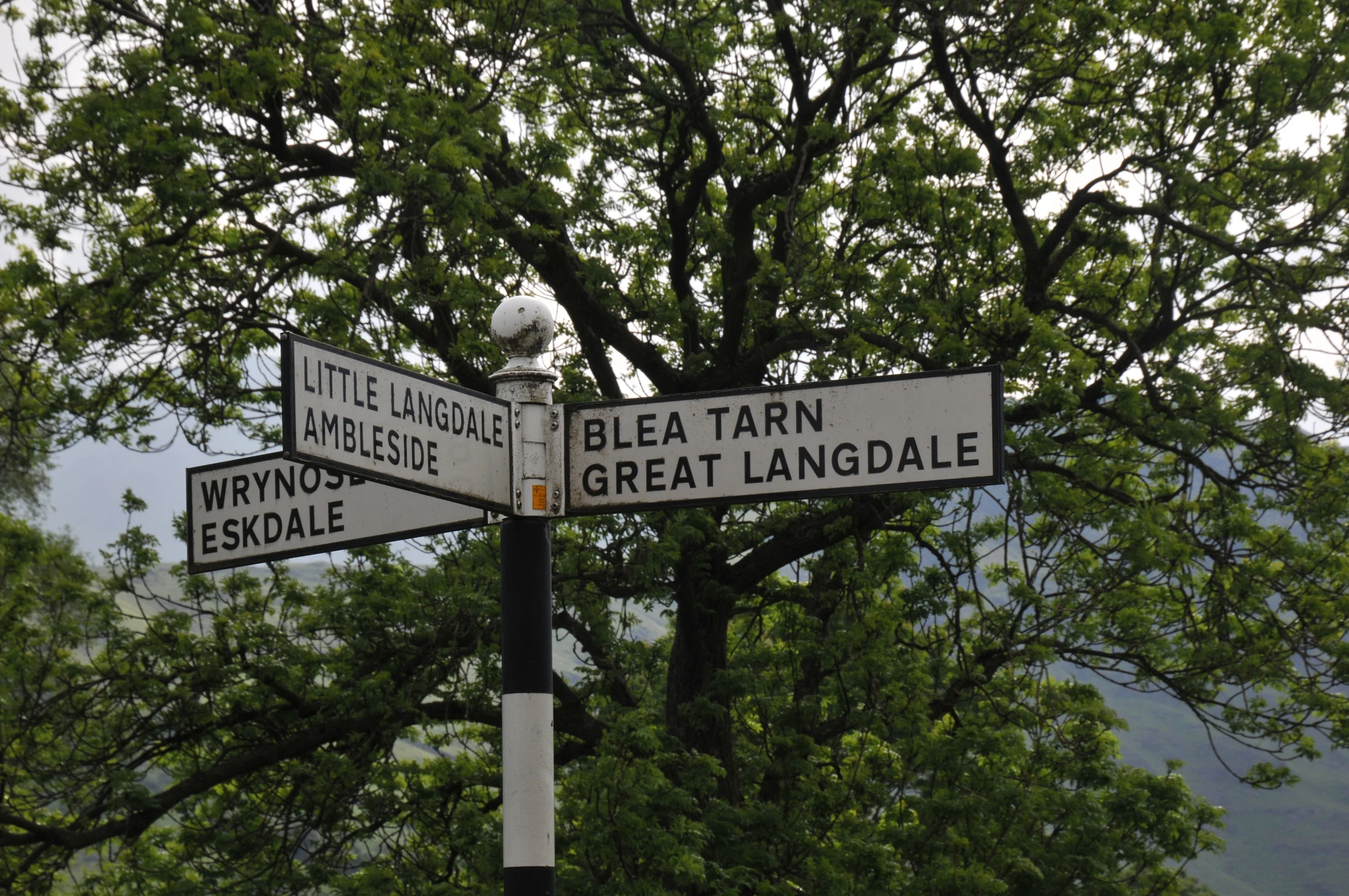 V0000135.JPG