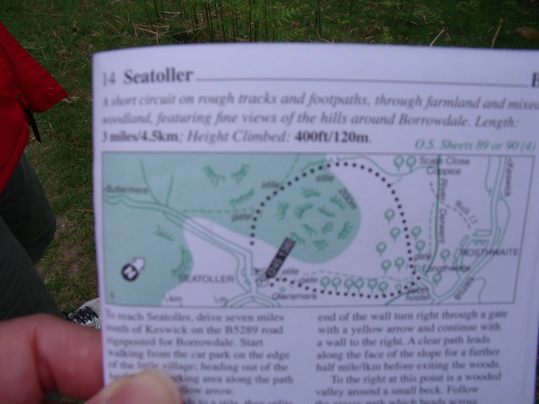 V0000186.JPG