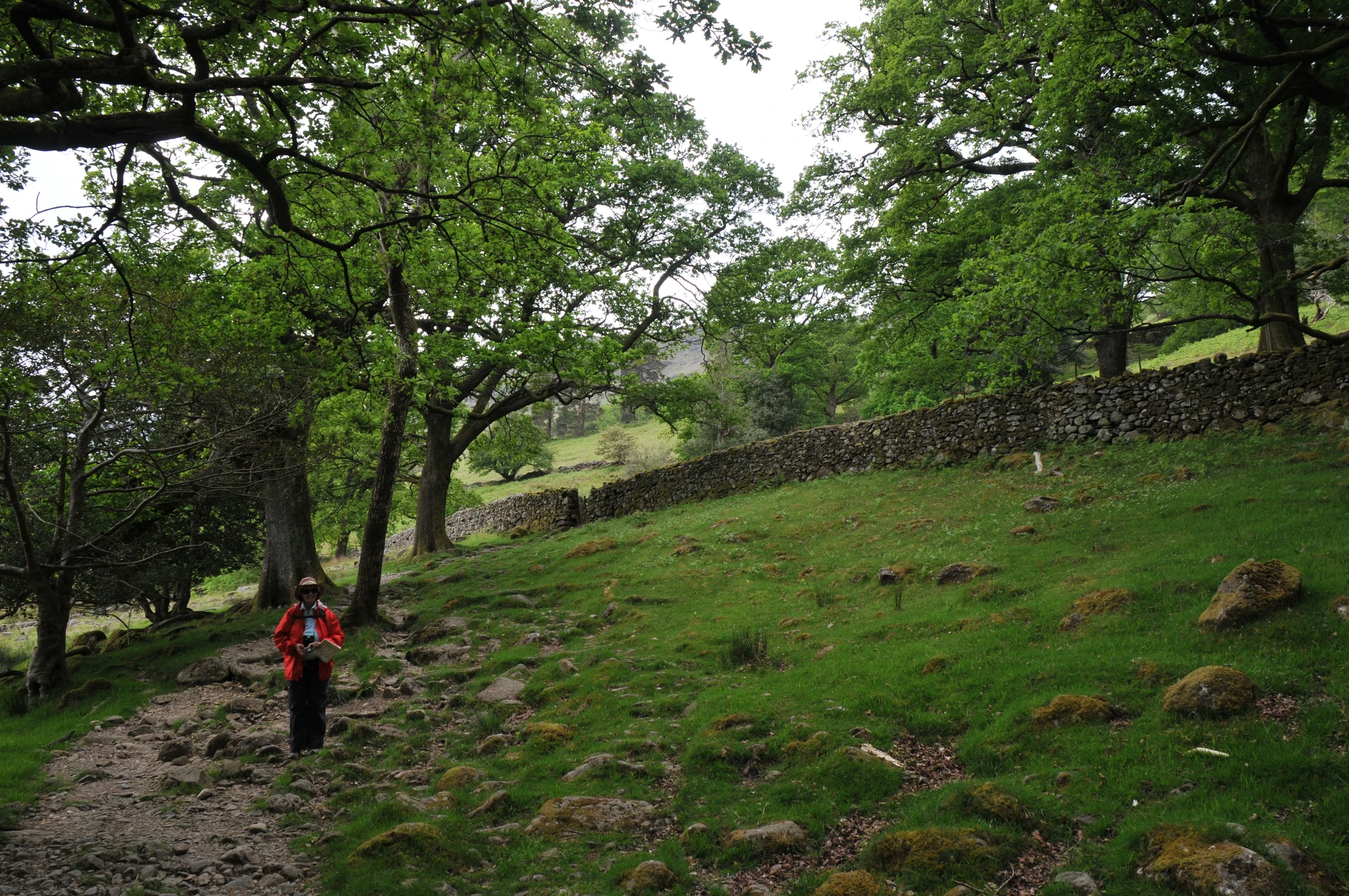 V0000191.JPG