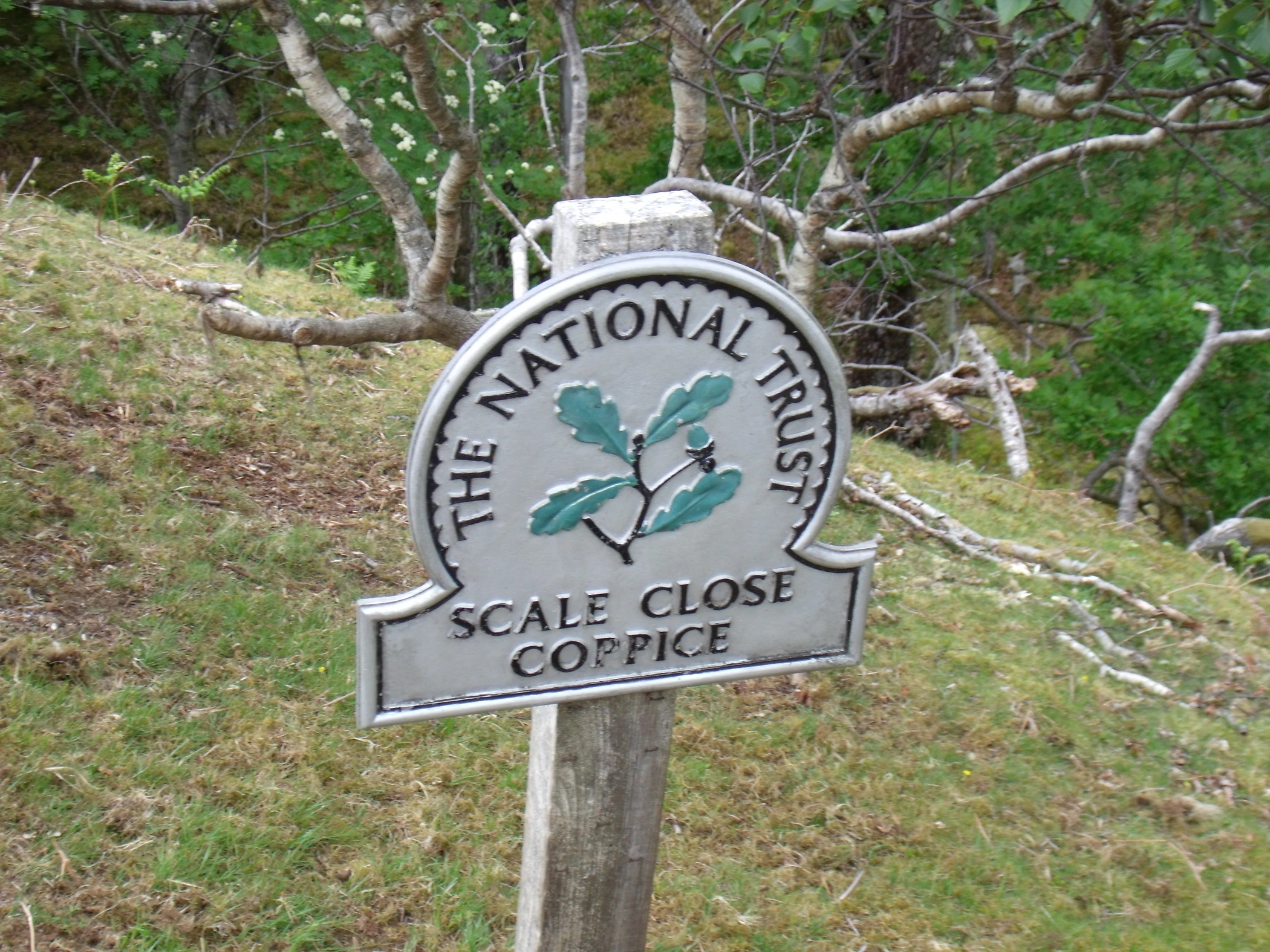 V0000201.JPG