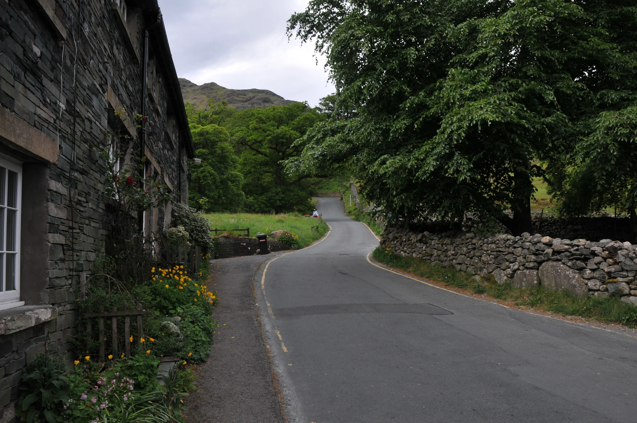 V0000210.JPG
