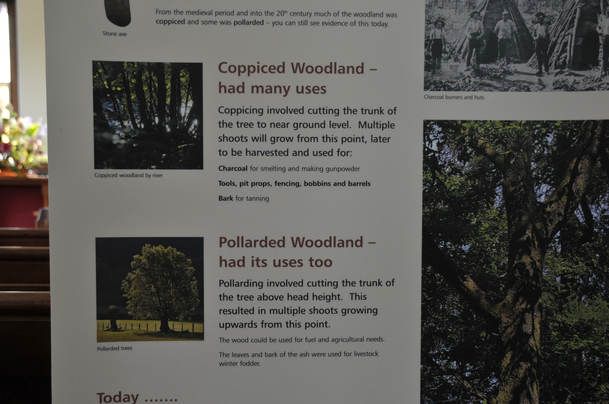 V0000214.JPG