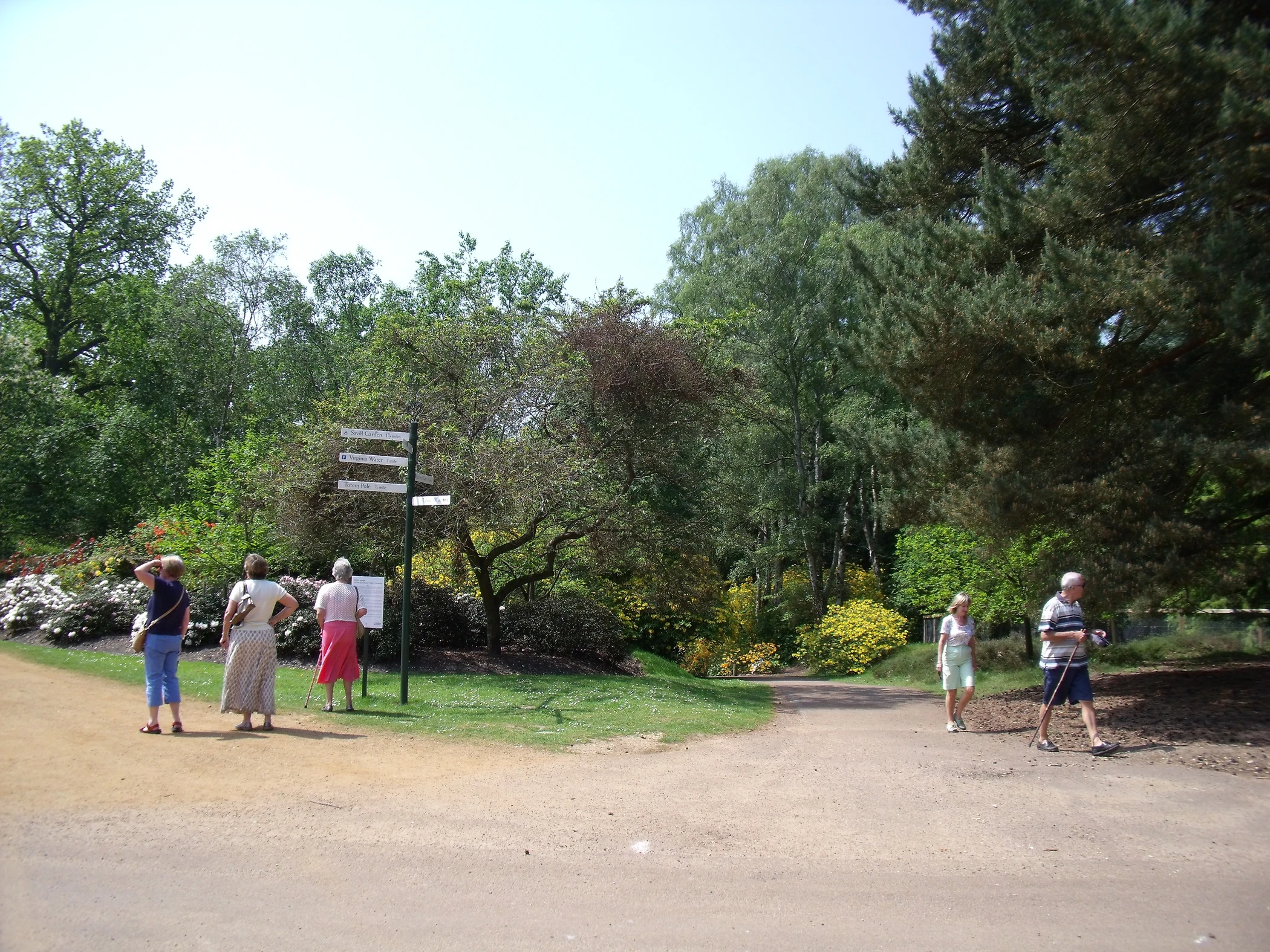 V0000247.JPG