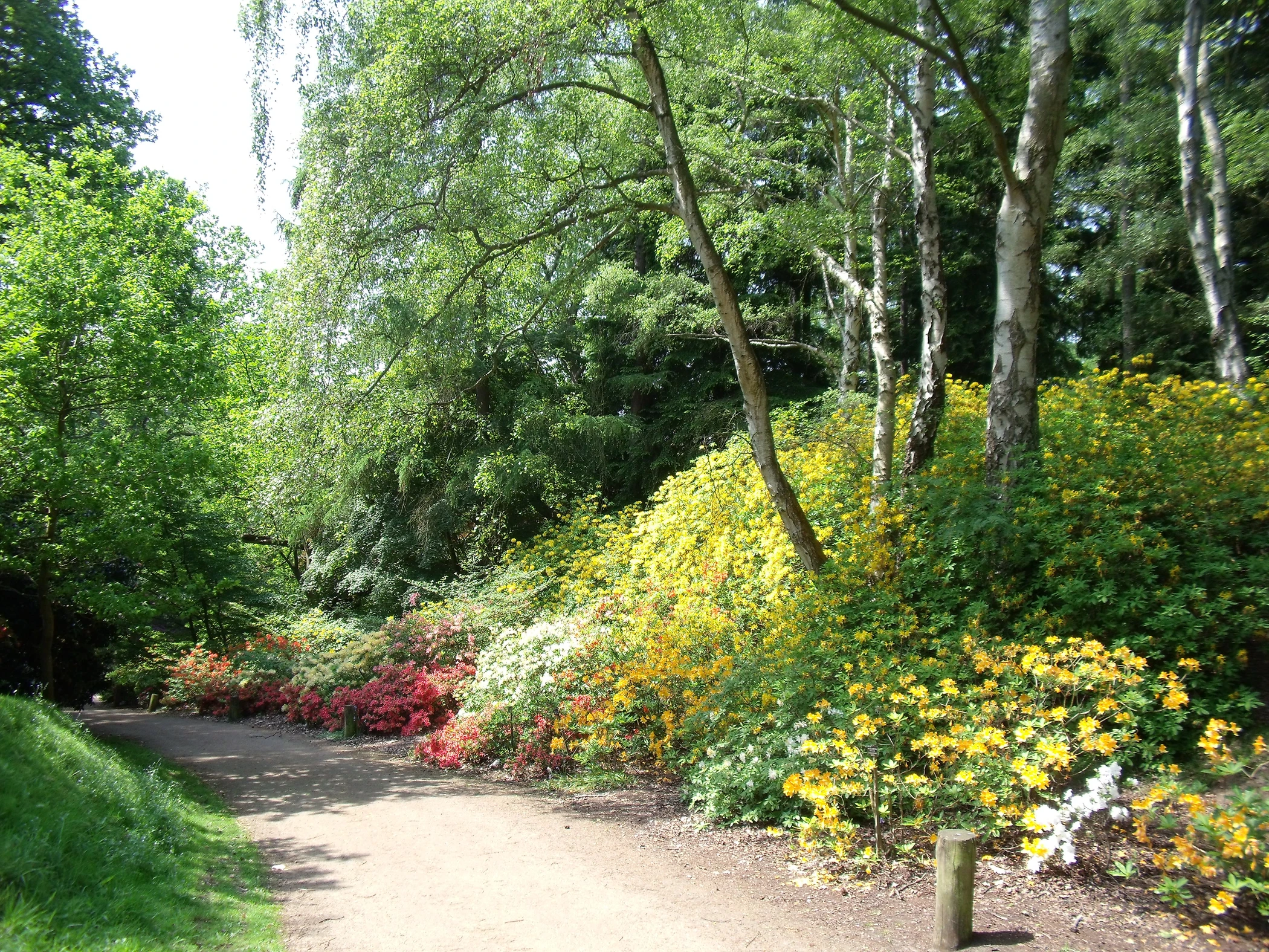 V0000250.JPG
