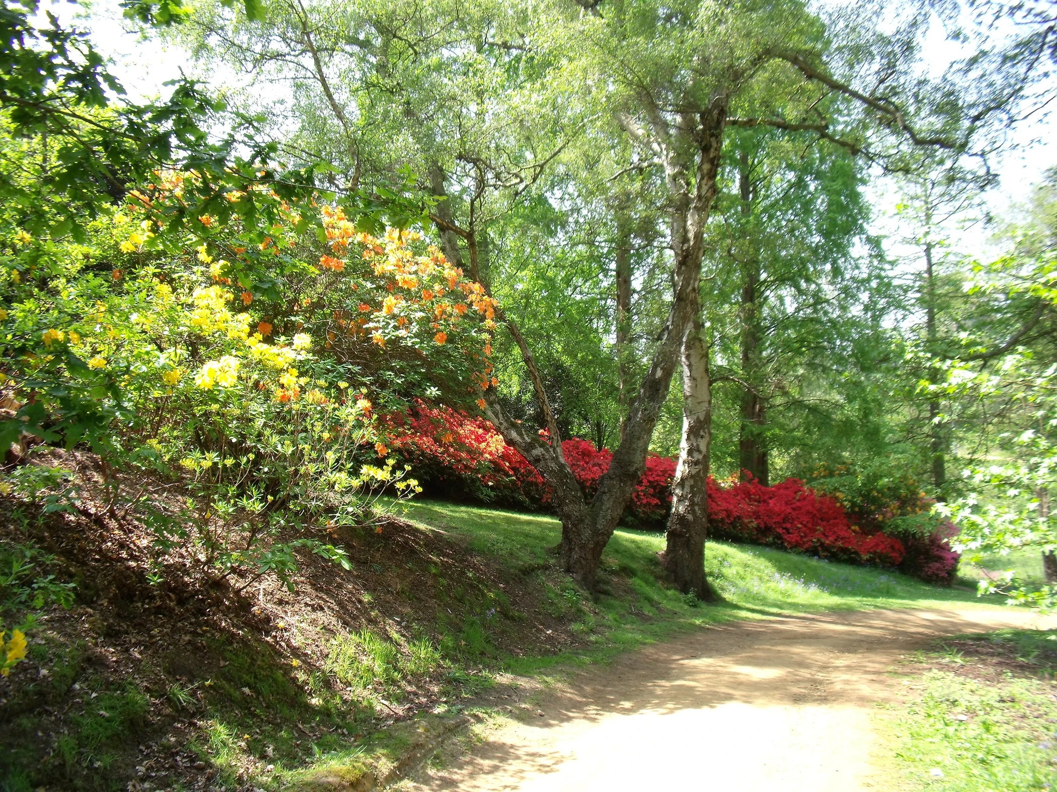 V0000257.JPG